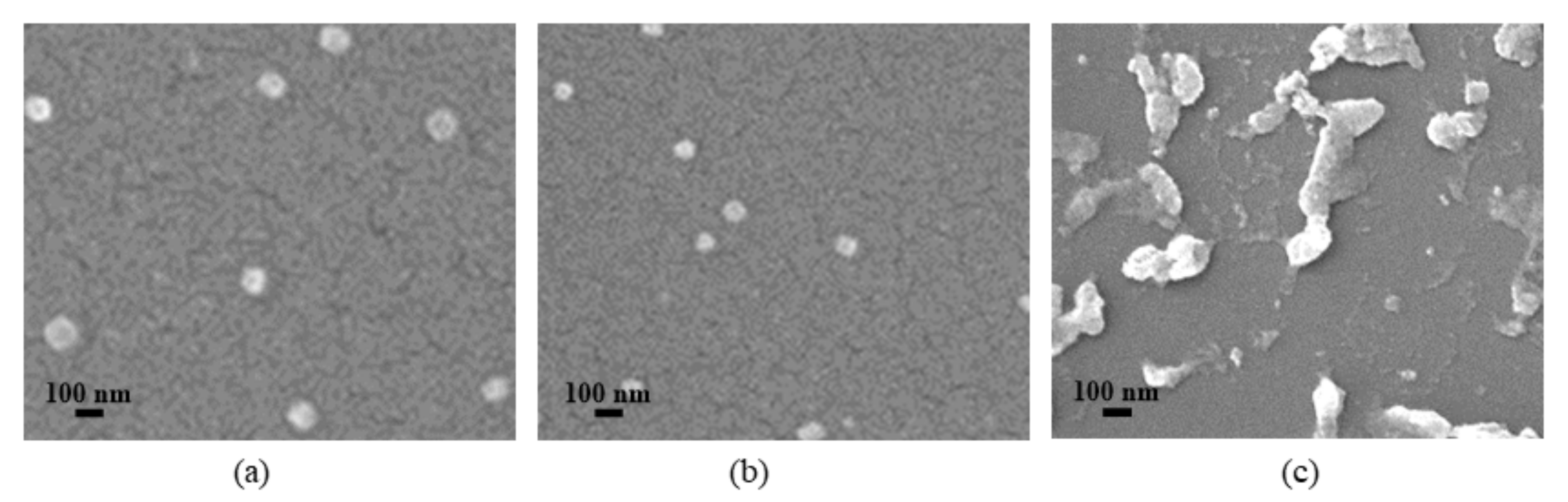 Materials 14 07913 g005