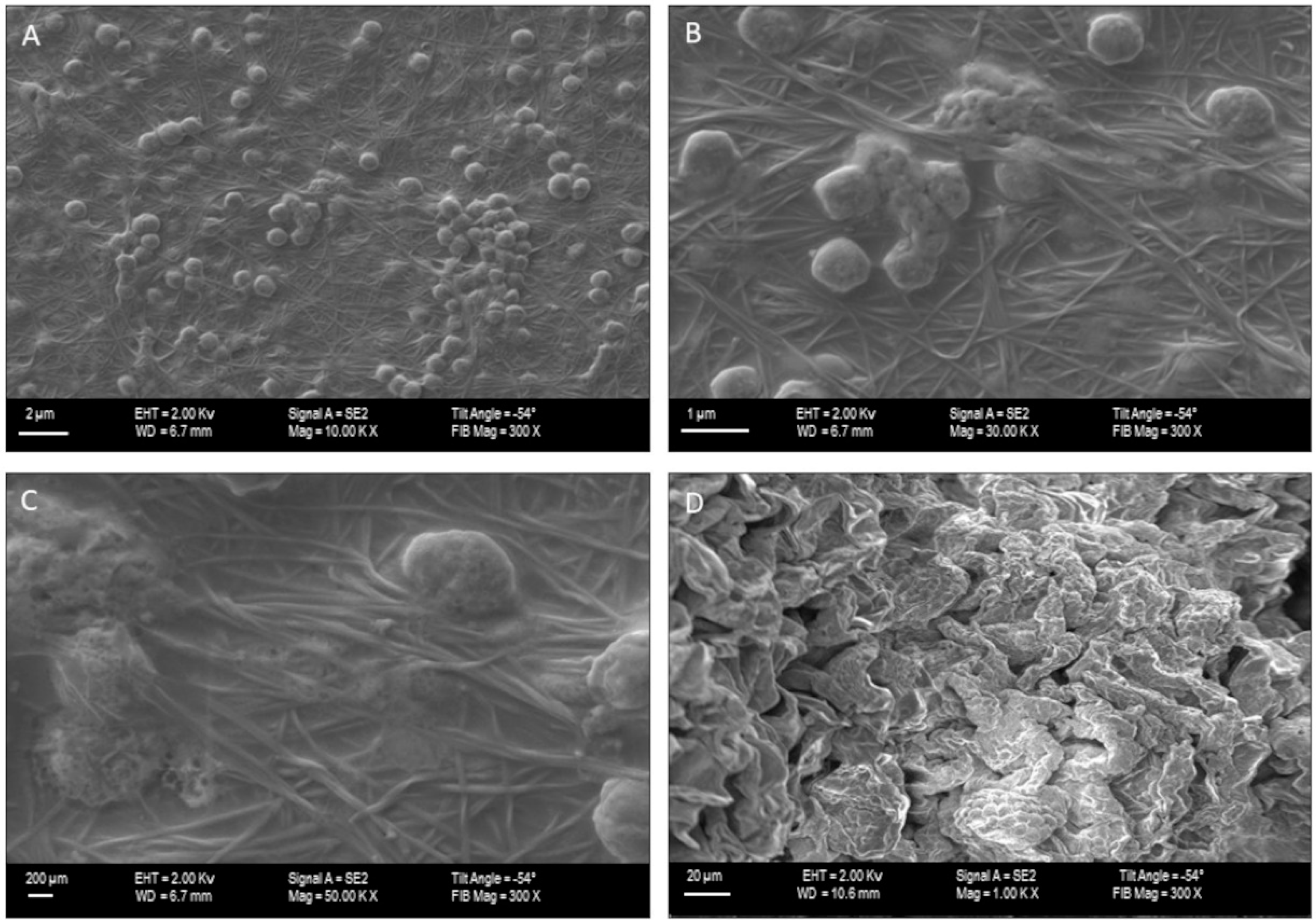 Materials 15 00016 g002 550