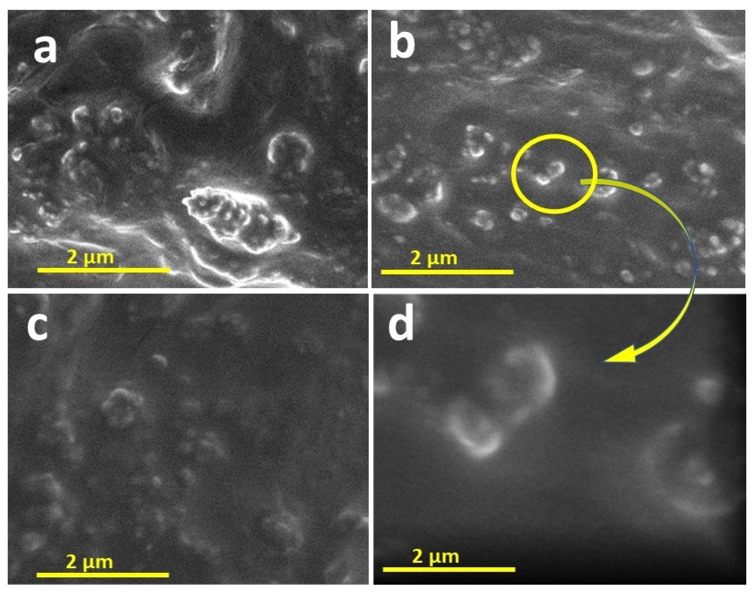 Materials 15 00038 g002