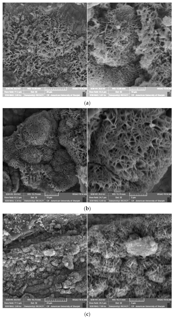 Materials 15 00041 g010