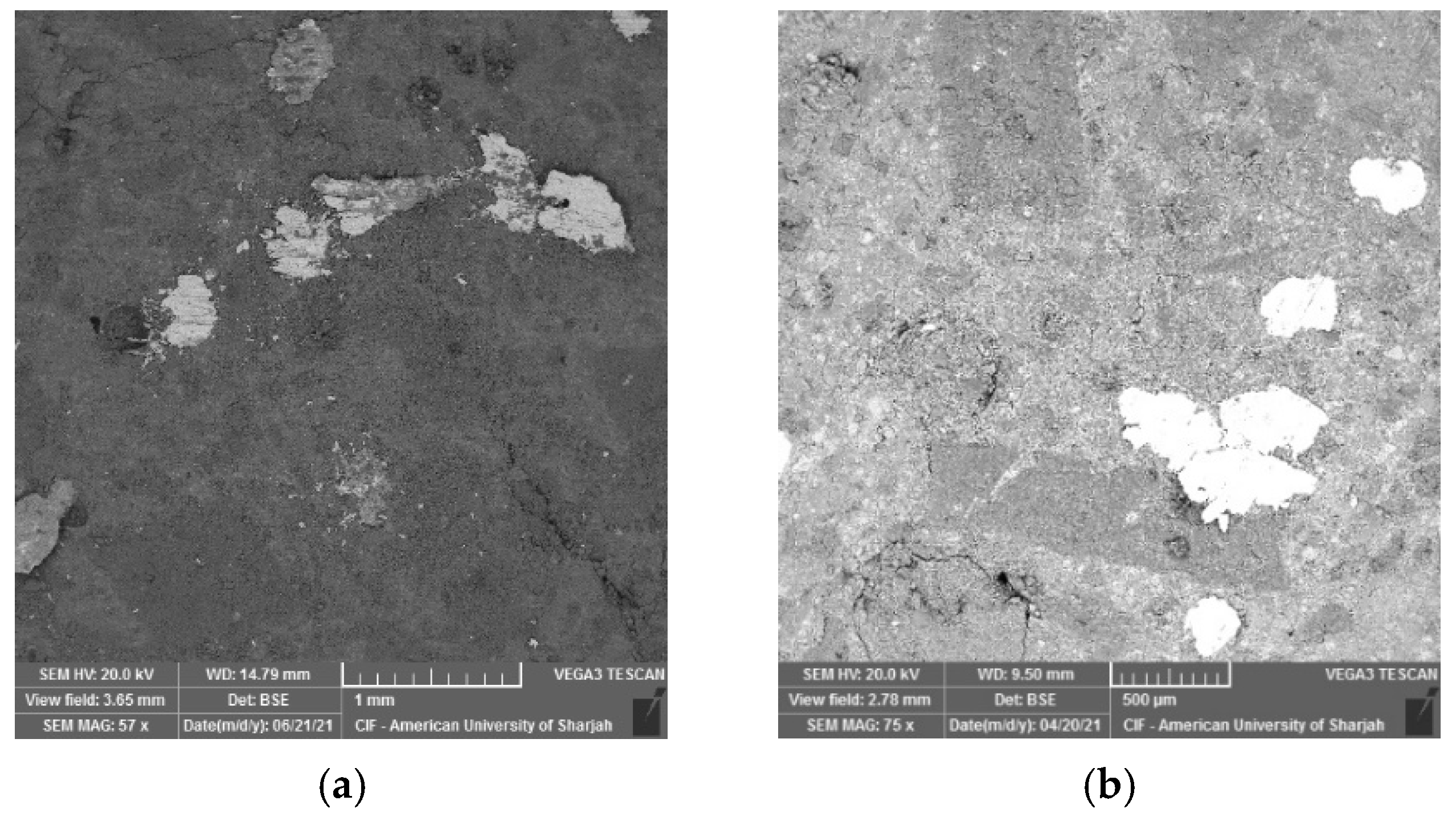 Materials 15 00041 g013