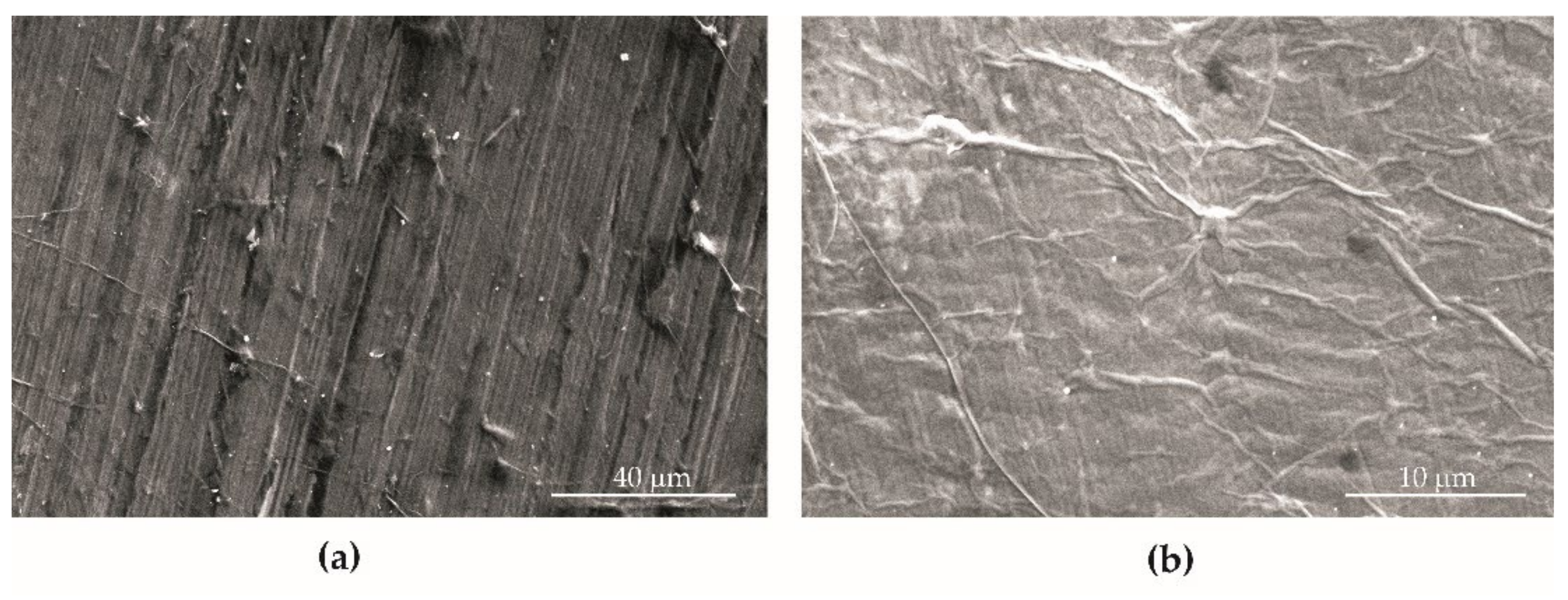 Materials 15 00065 g004 550