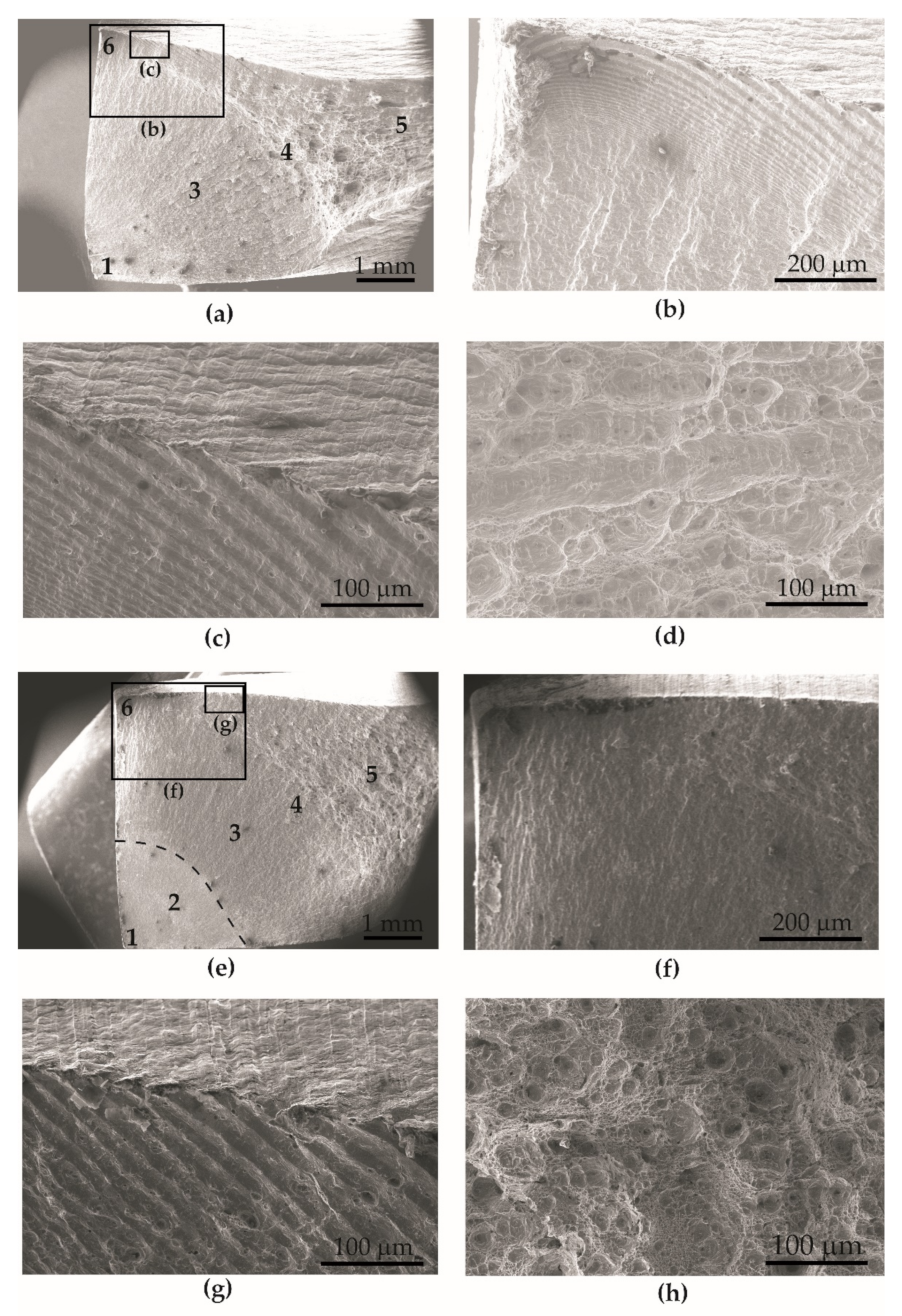 Materials 15 00065 g010 550