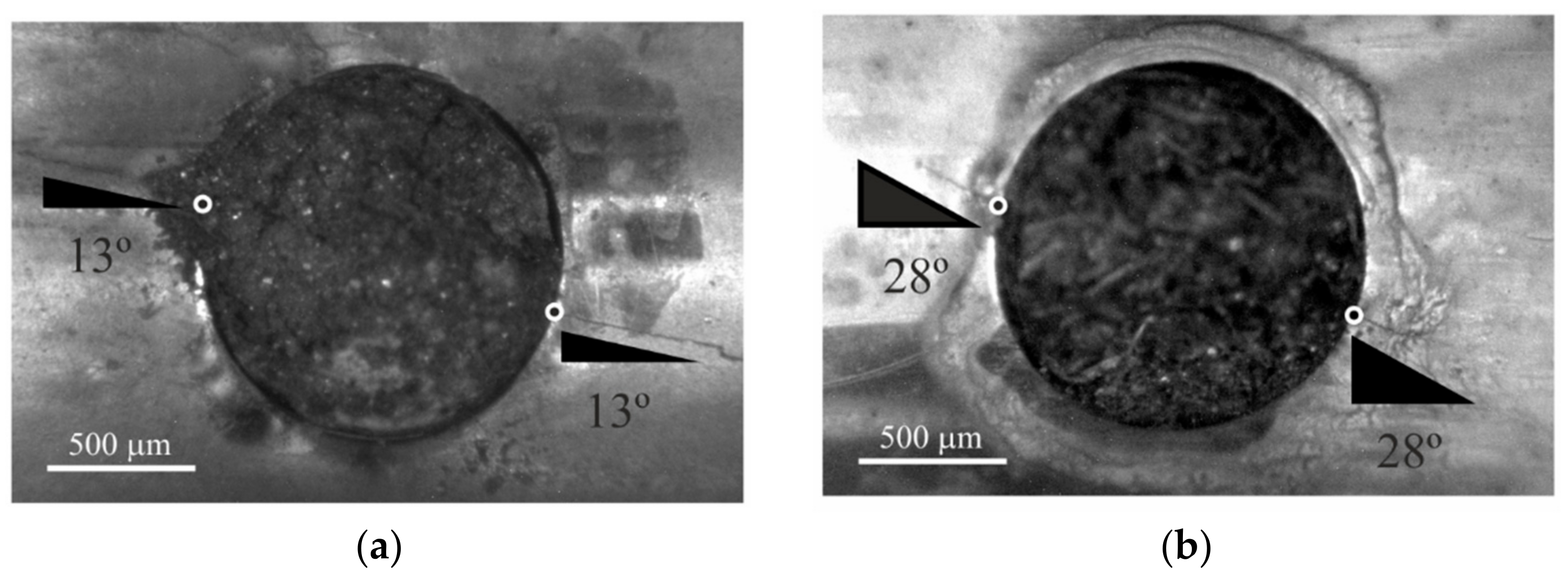Materials 15 00080 g004 Materials 15 00080 g004