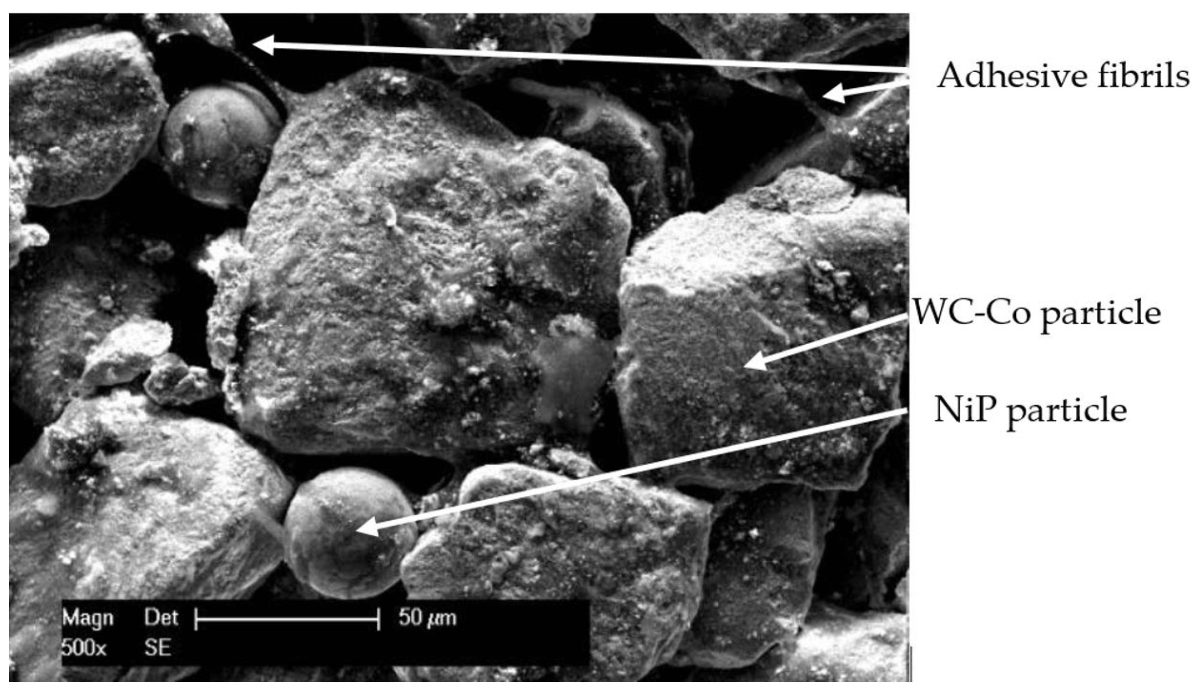 Materials 15 00088 g001