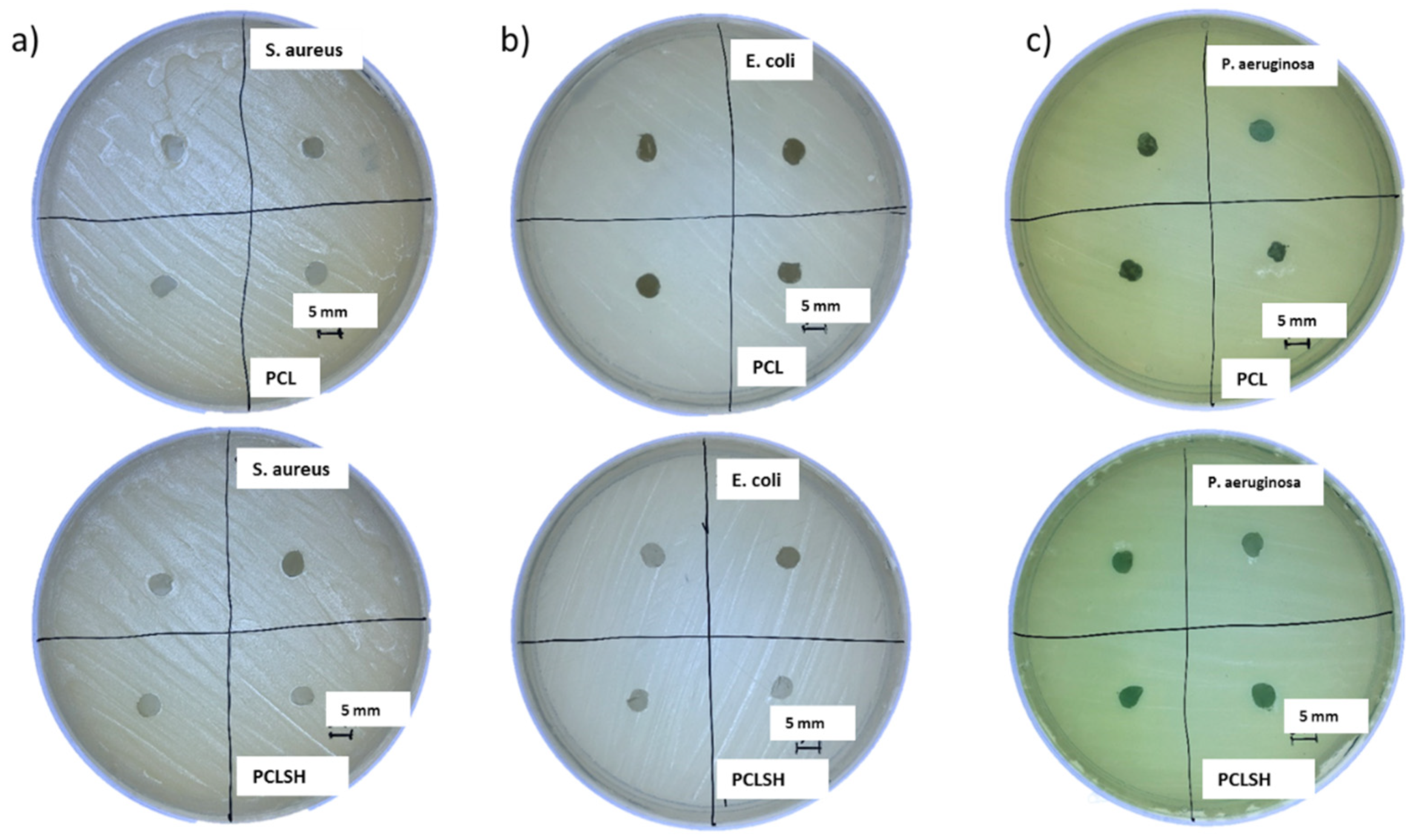Materials 15 00089 g009