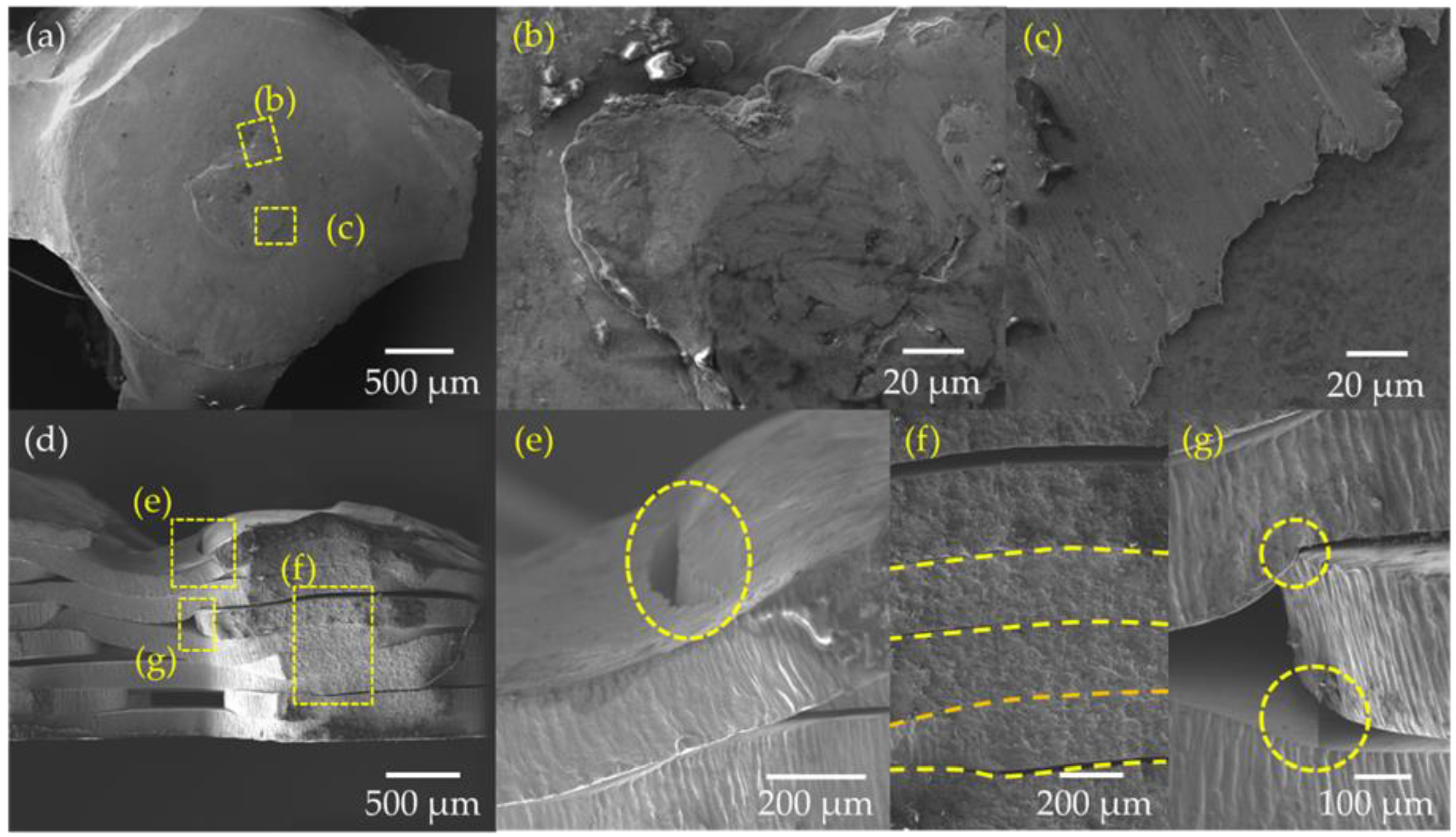 Materials 15 00099 g014 Materials 15 00099 g014