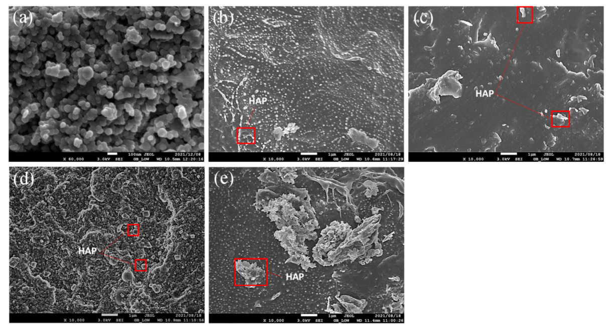 Materials 15 00104 g001