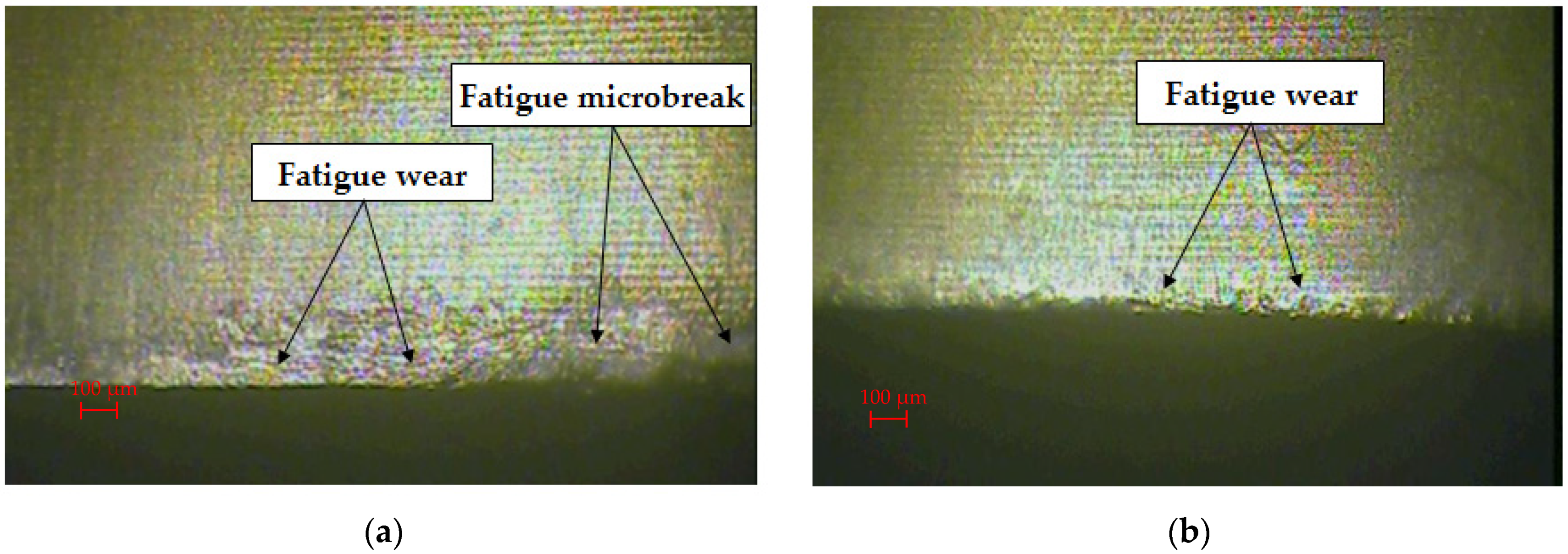 Materials 15 00107 g004 550