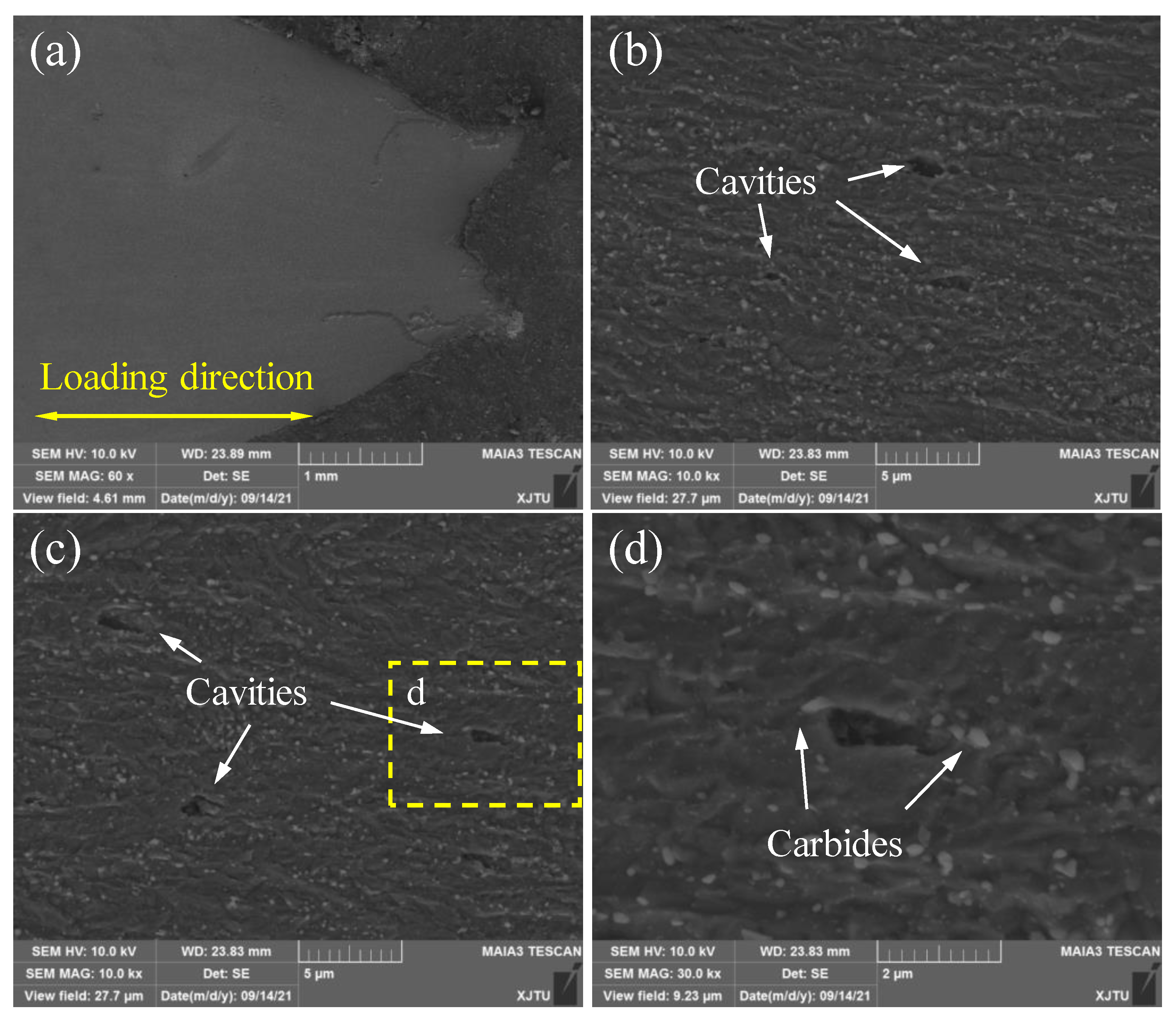 Materials 15 00109 g009