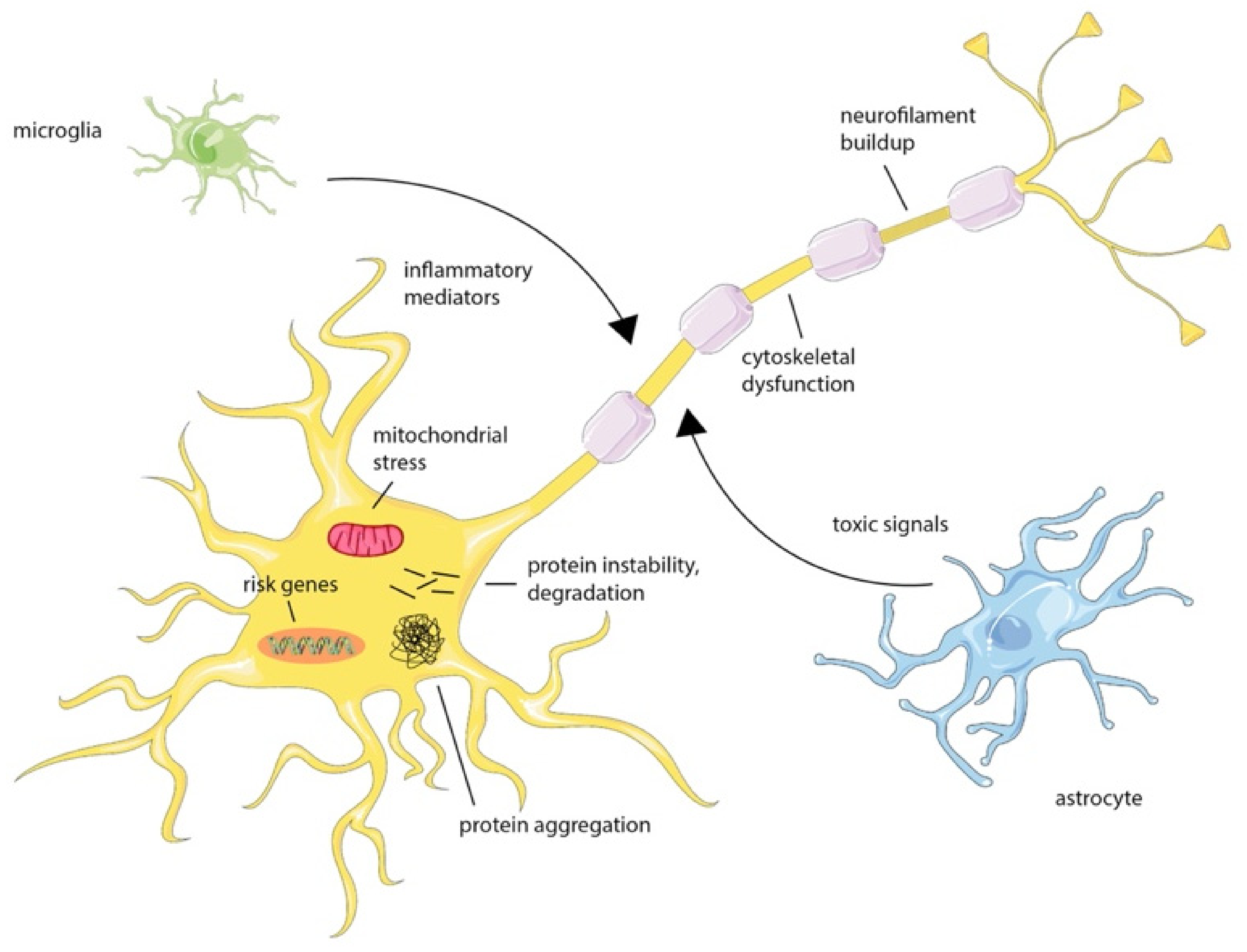 Materials 15 00126 g002 550