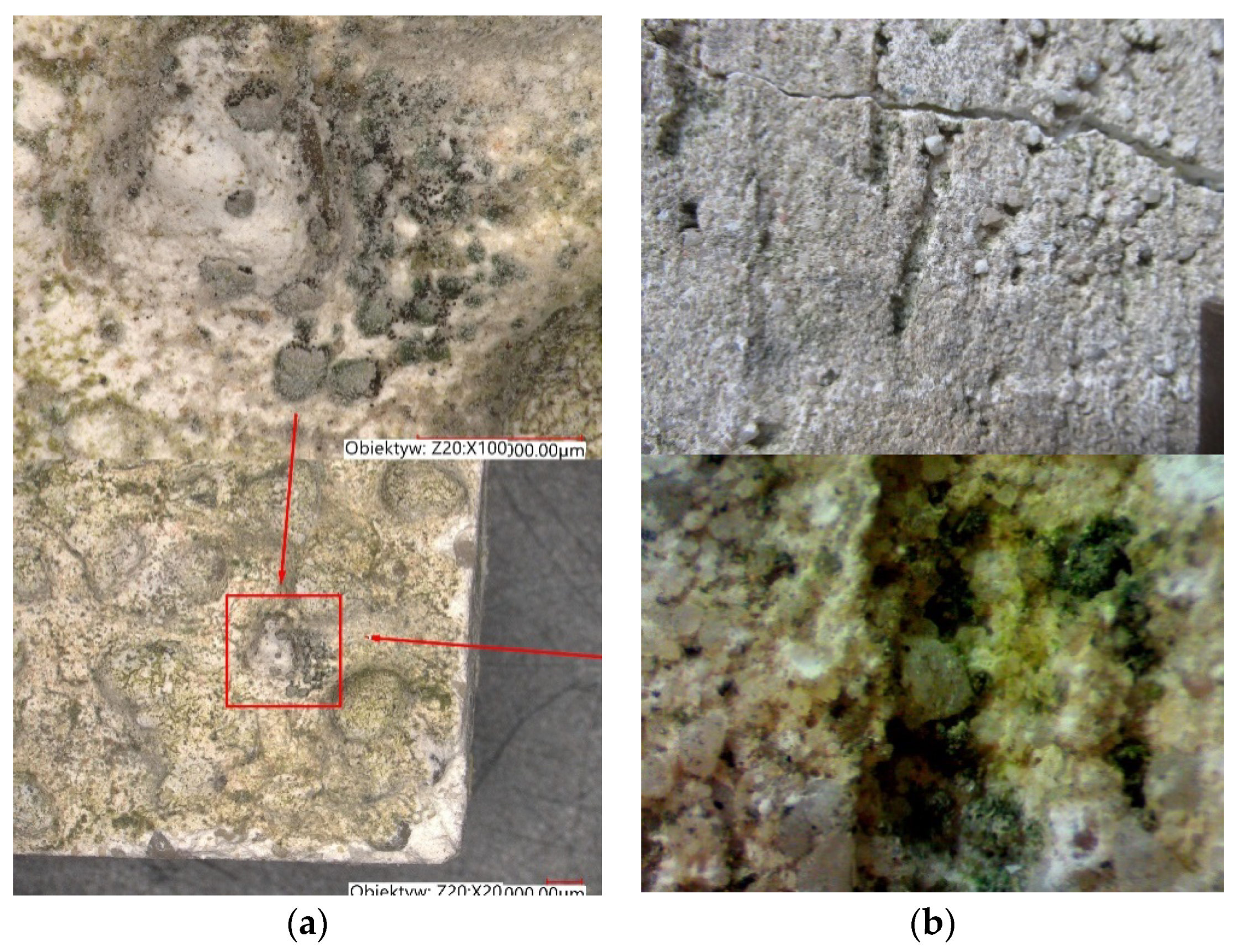 Materials 15 00127 g004 550