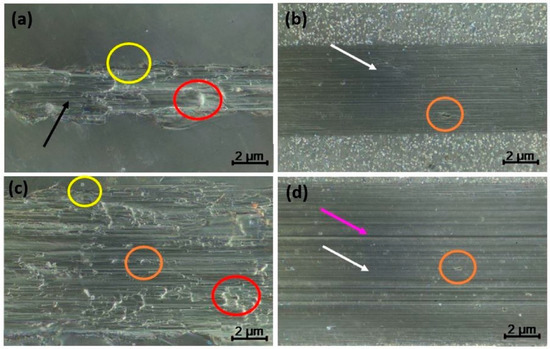 画像の2点 A Tribological and Ion Released Research of Ti-Materials for