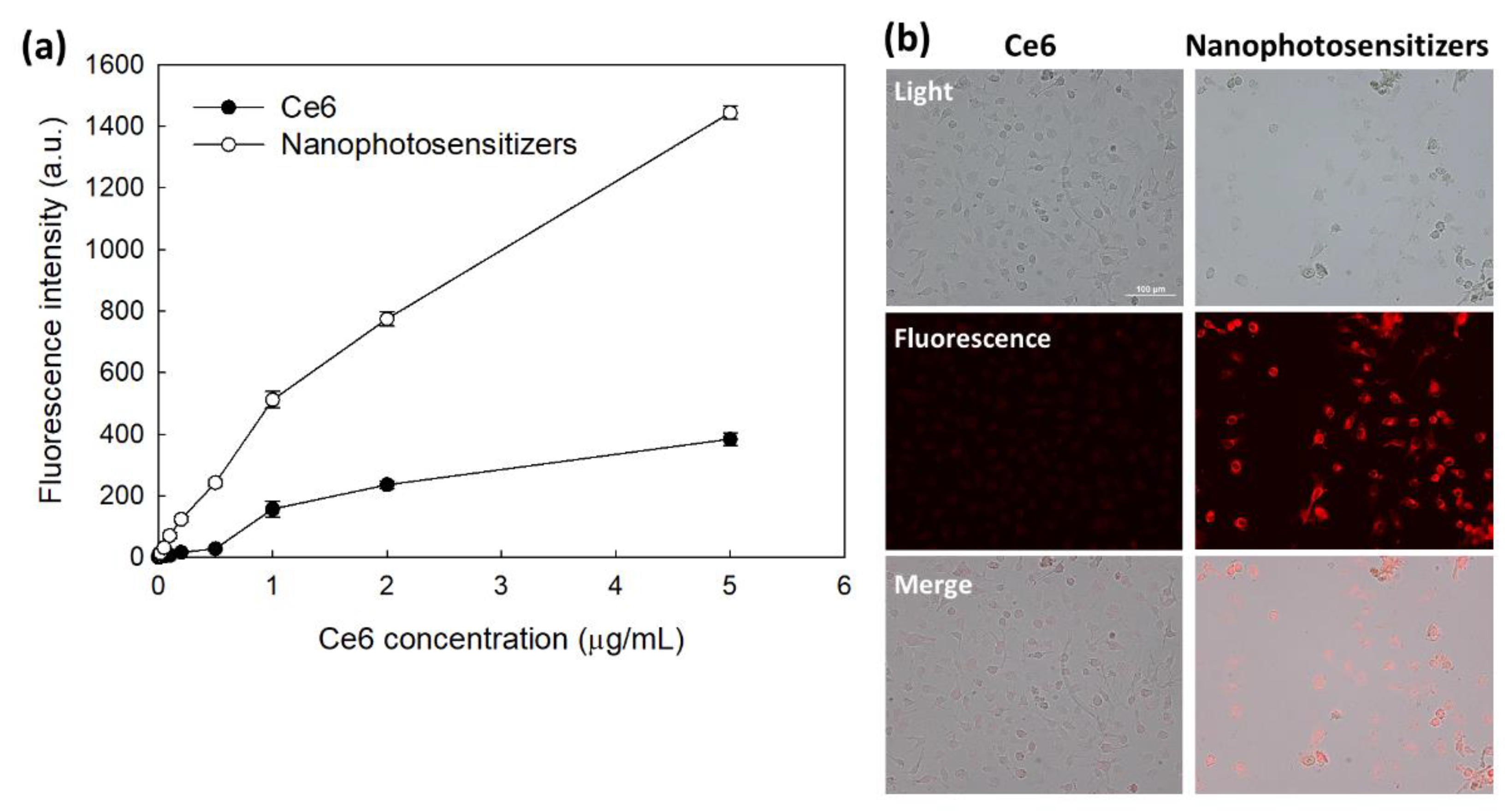Materials 15 00138 g006 Materials 15 00138 g006