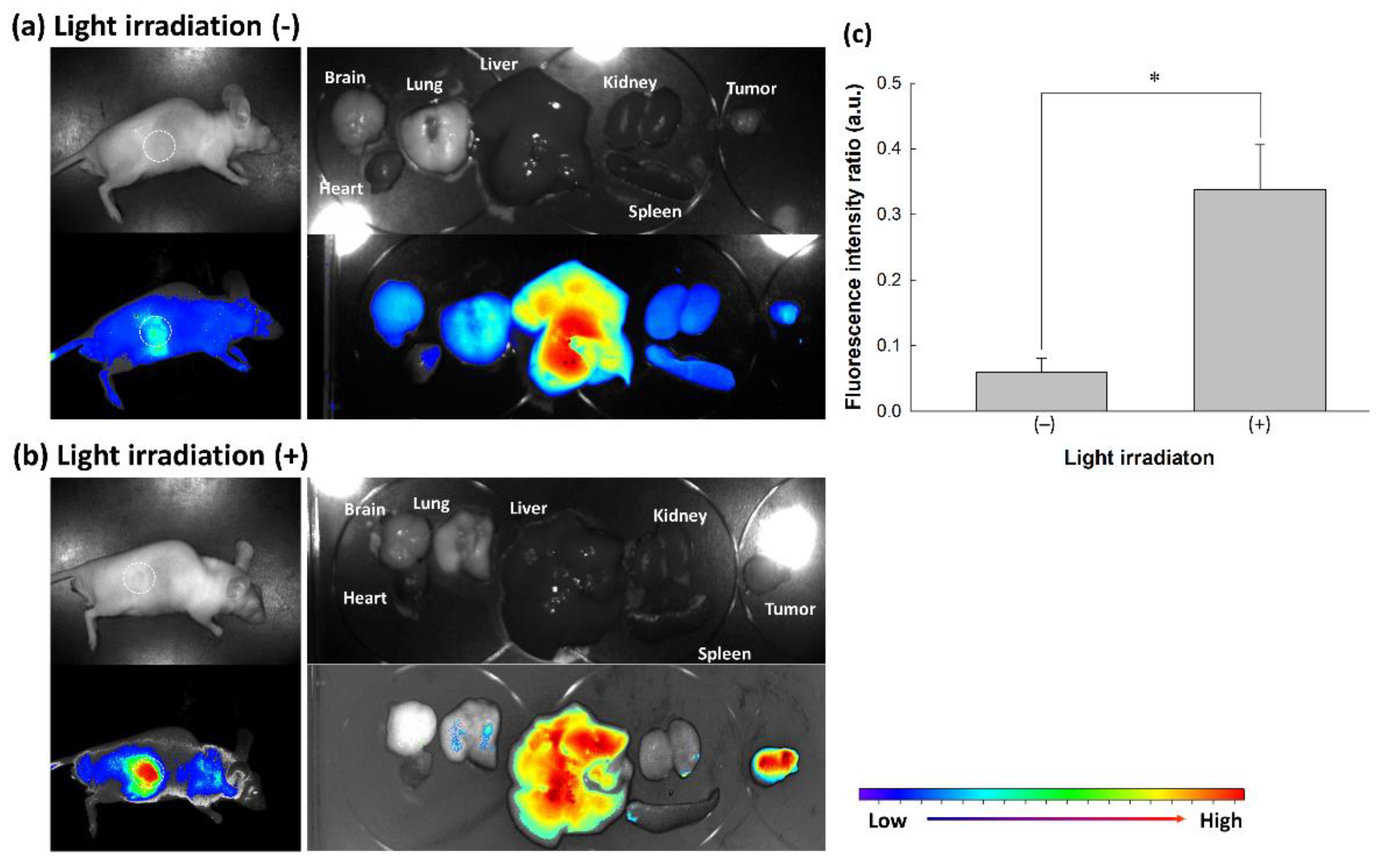 Materials 15 00138 g010 Materials 15 00138 g010