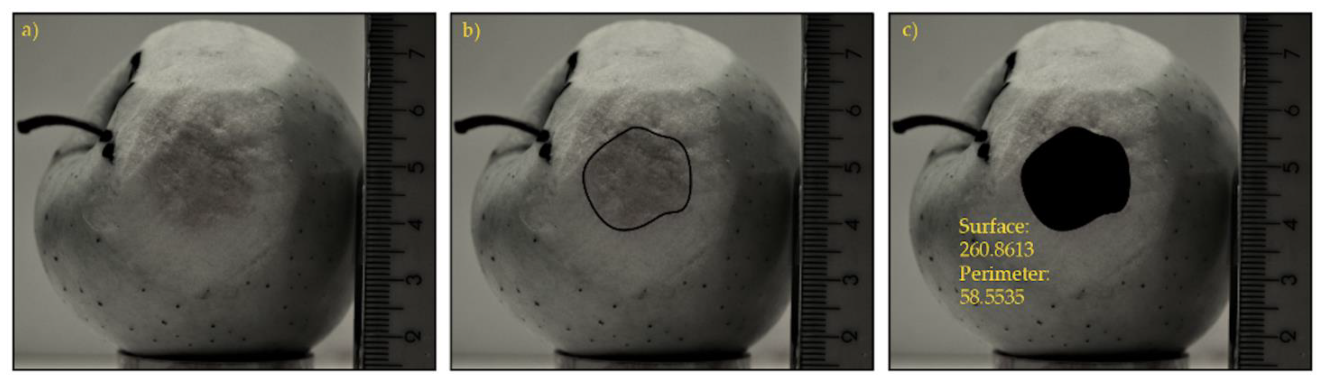 Materials 15 00139 g002 Materials 15 00139 g002