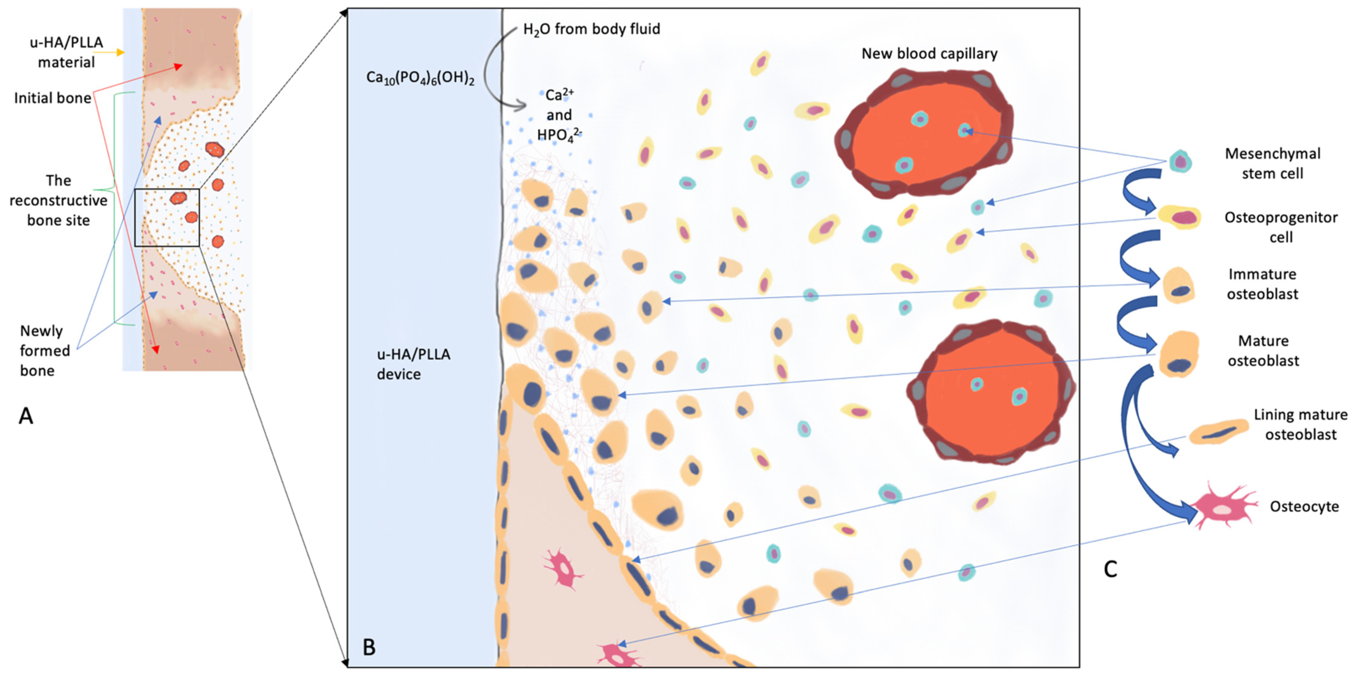 Materials 15 00150 g001