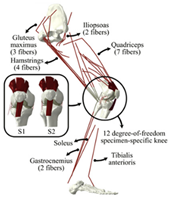 Materials 15 00153 i019