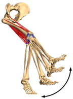 Materials 15 00153 i020