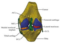 Materials 15 00153 i023