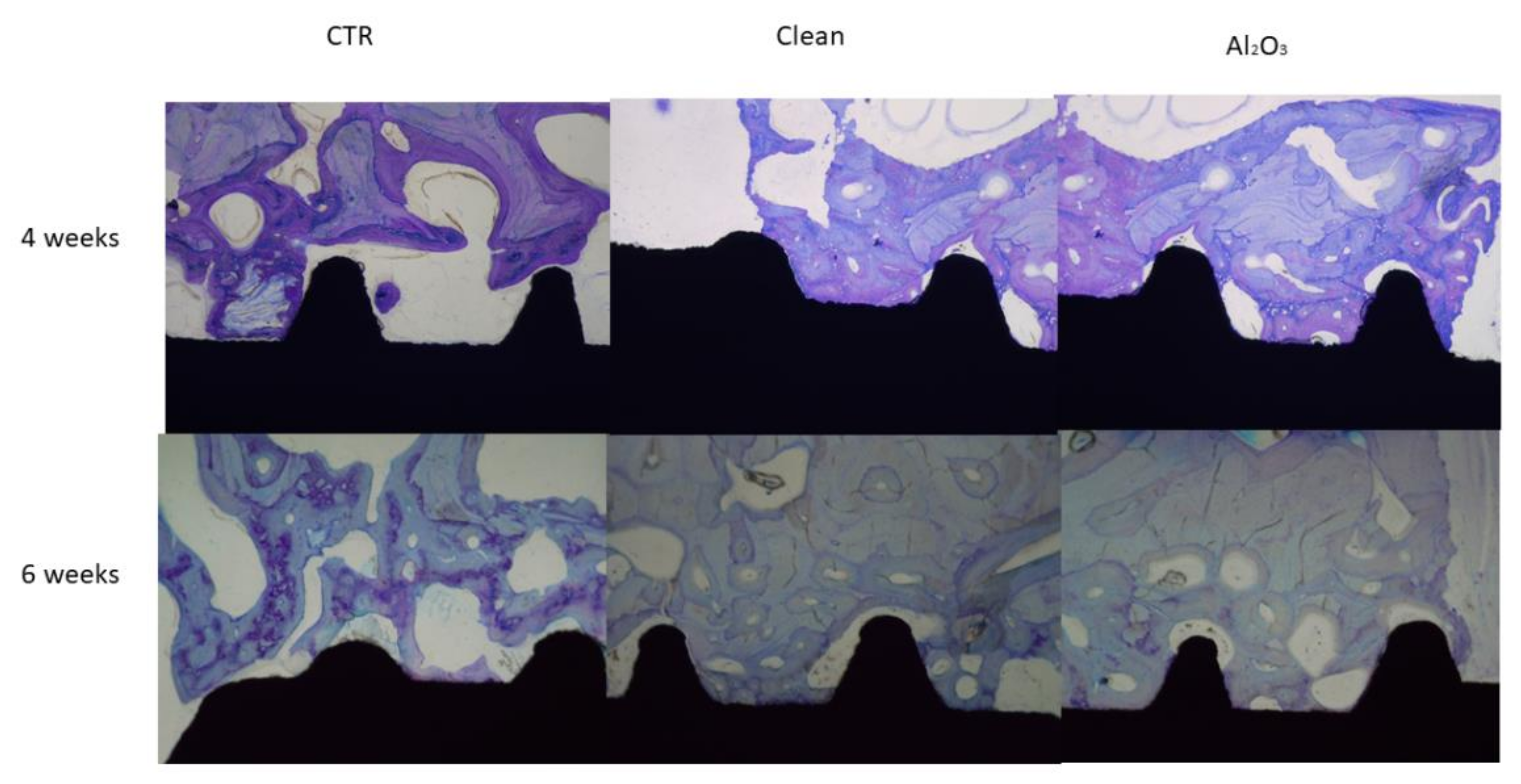 Materials 15 00178 g006