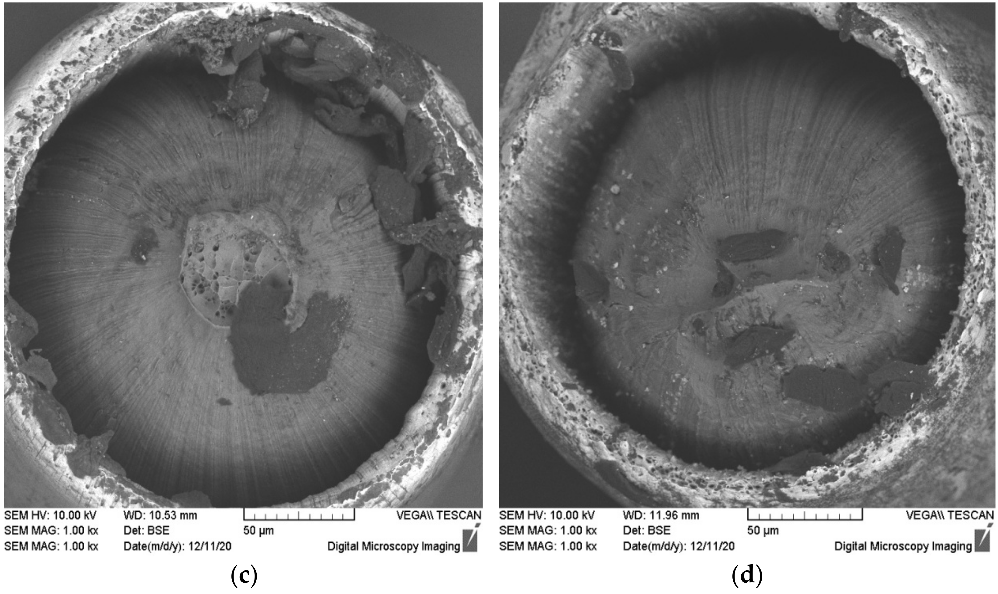 Materials 15 00185 g010b