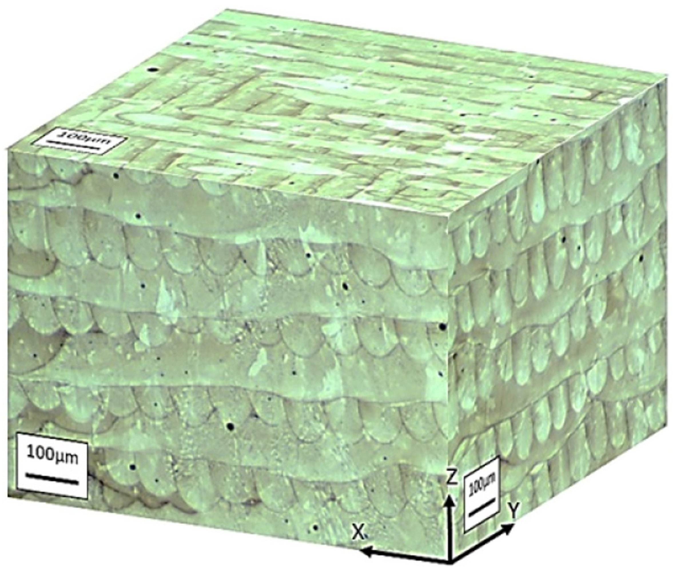 Materials 15 00200 g010 550