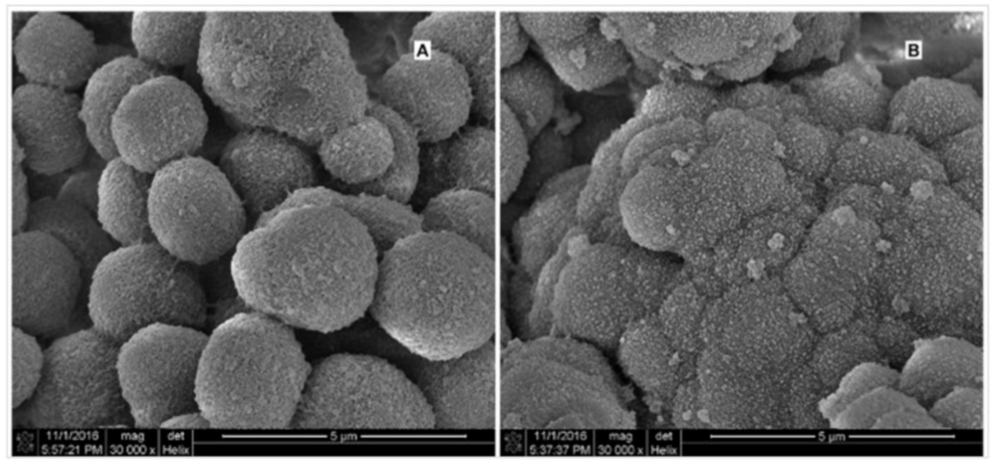 Materials 15 00234 g005 550