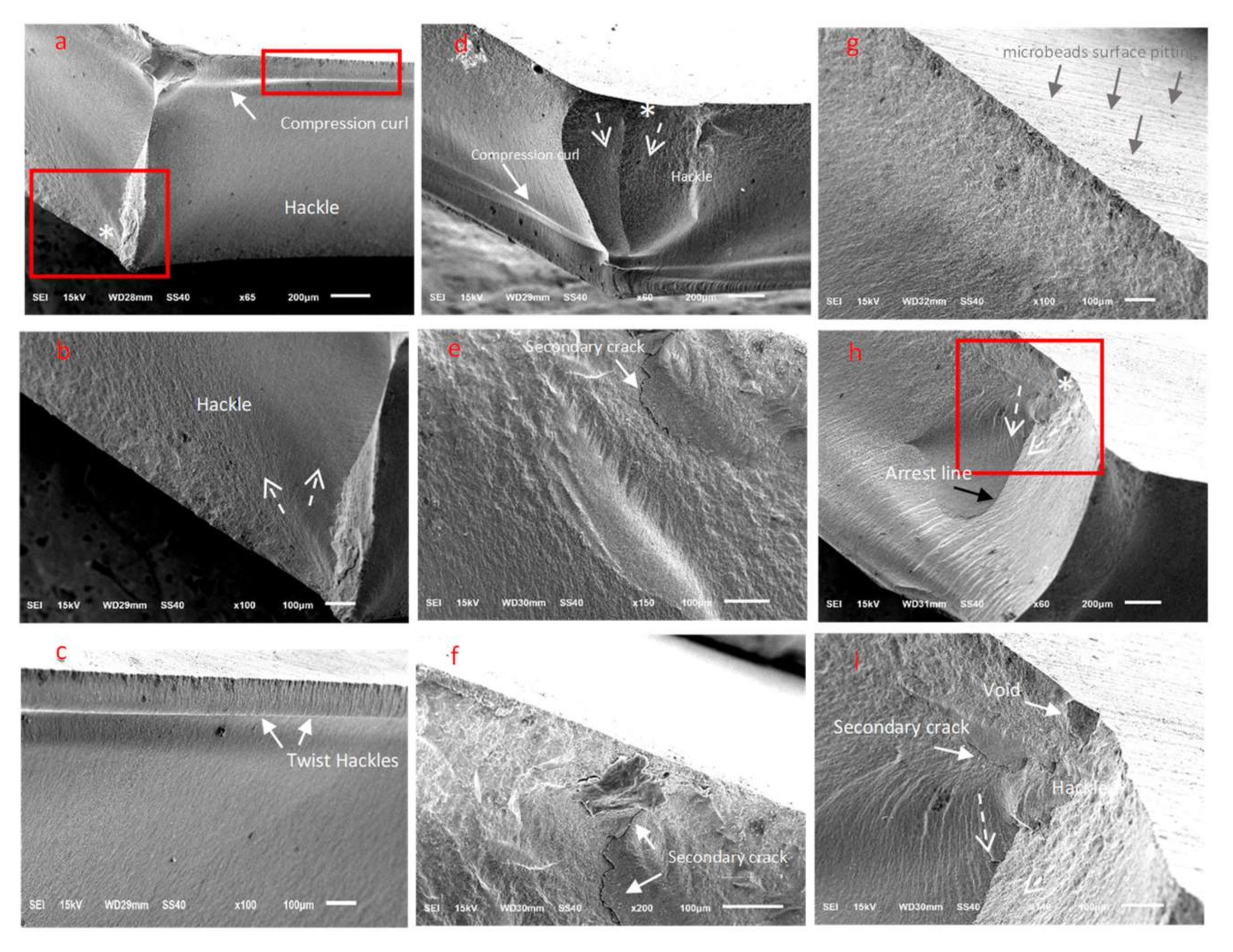 Materials 15 00244 g005