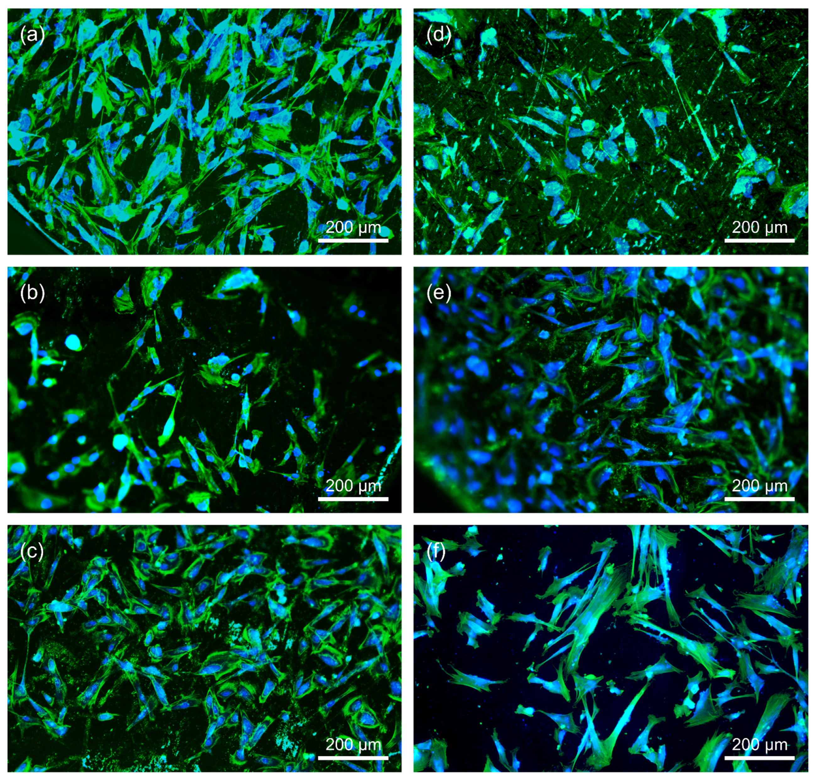 Materials 15 00252 g007