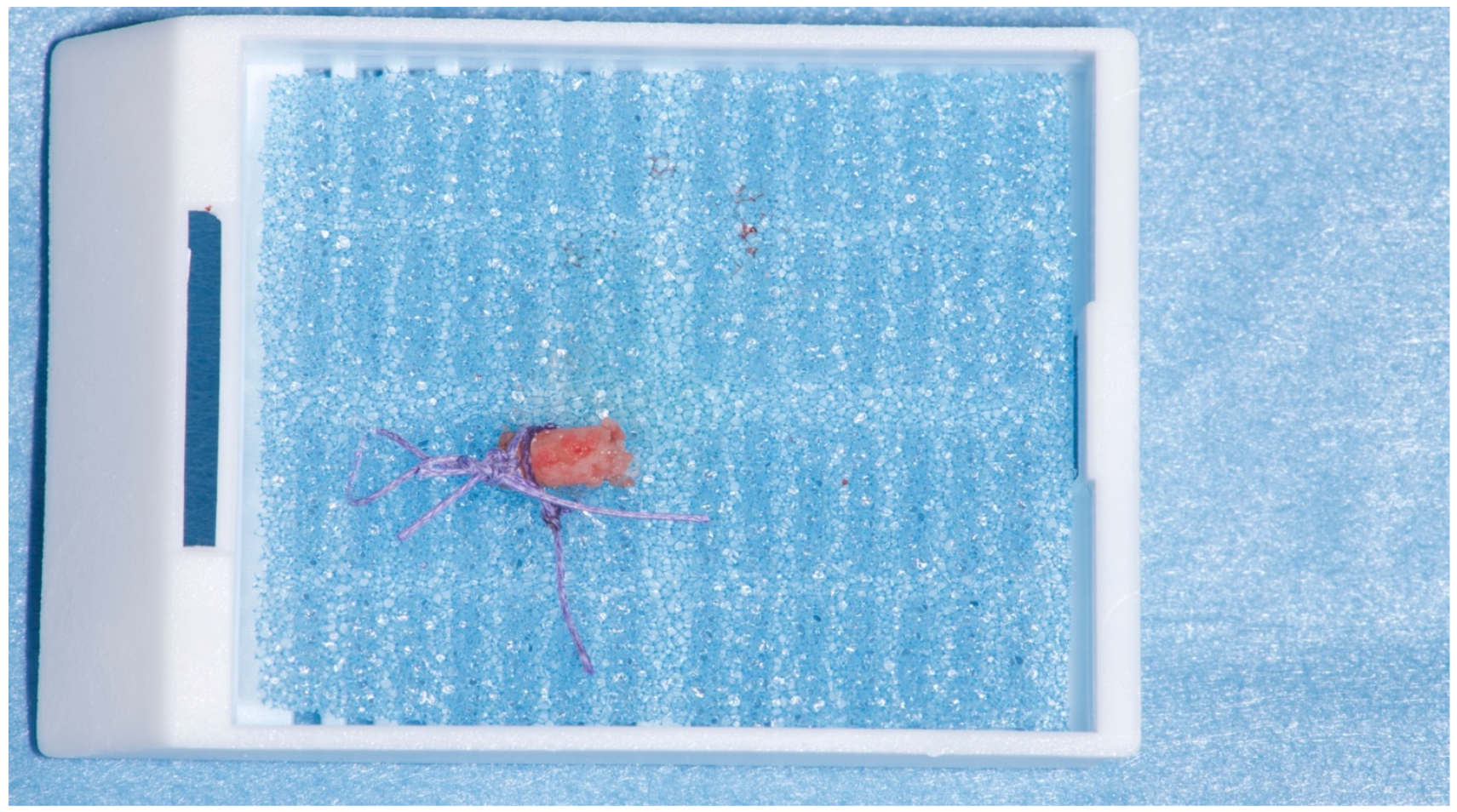 Materials 15 00254 g009