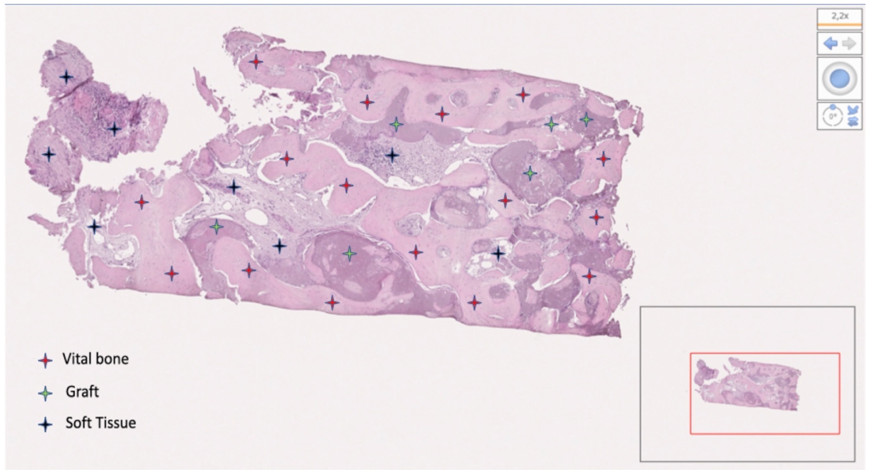 Materials 15 00254 g012