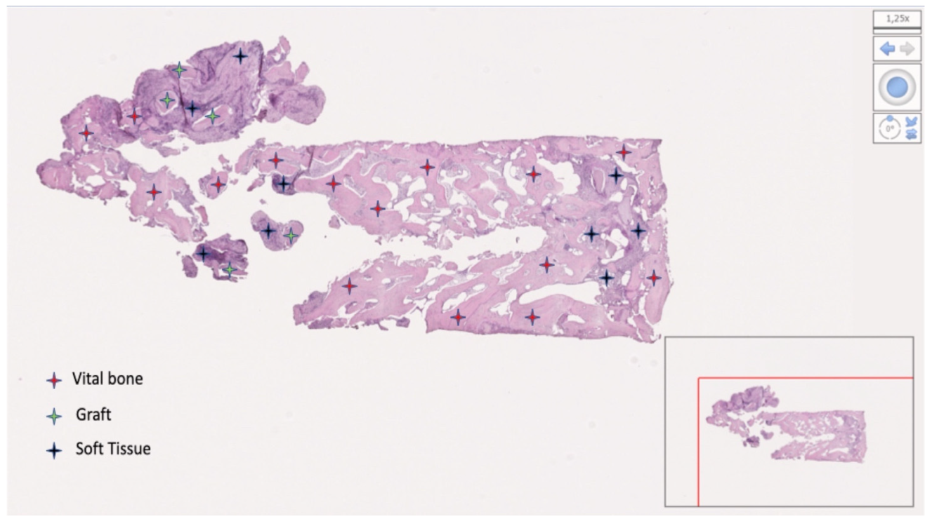 Materials 15 00254 g013