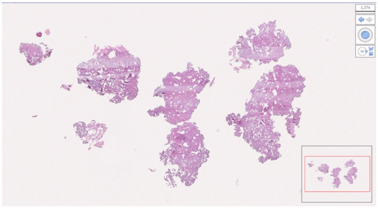 Materials 15 00254 g014