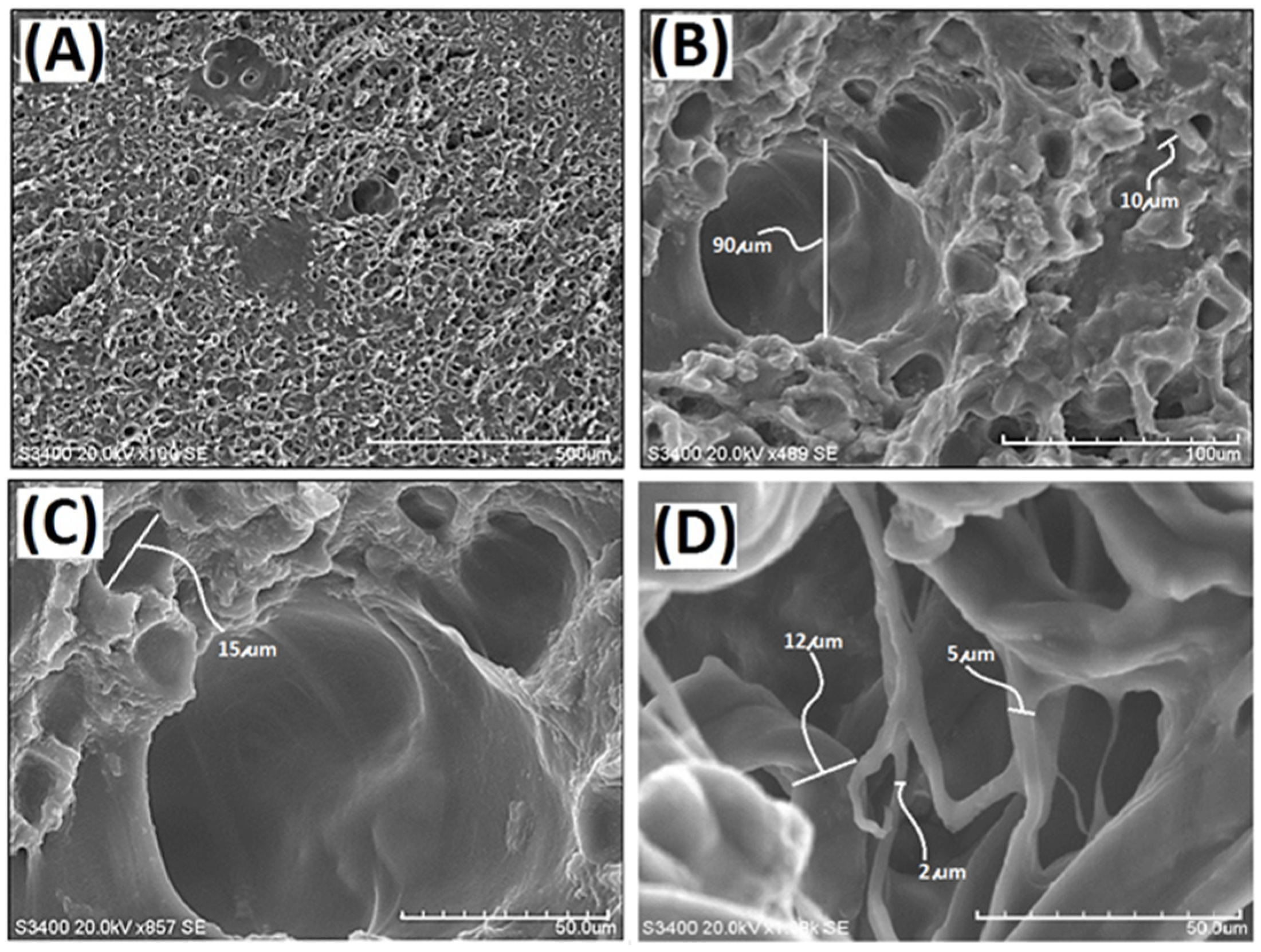 Materials 15 00258 g001