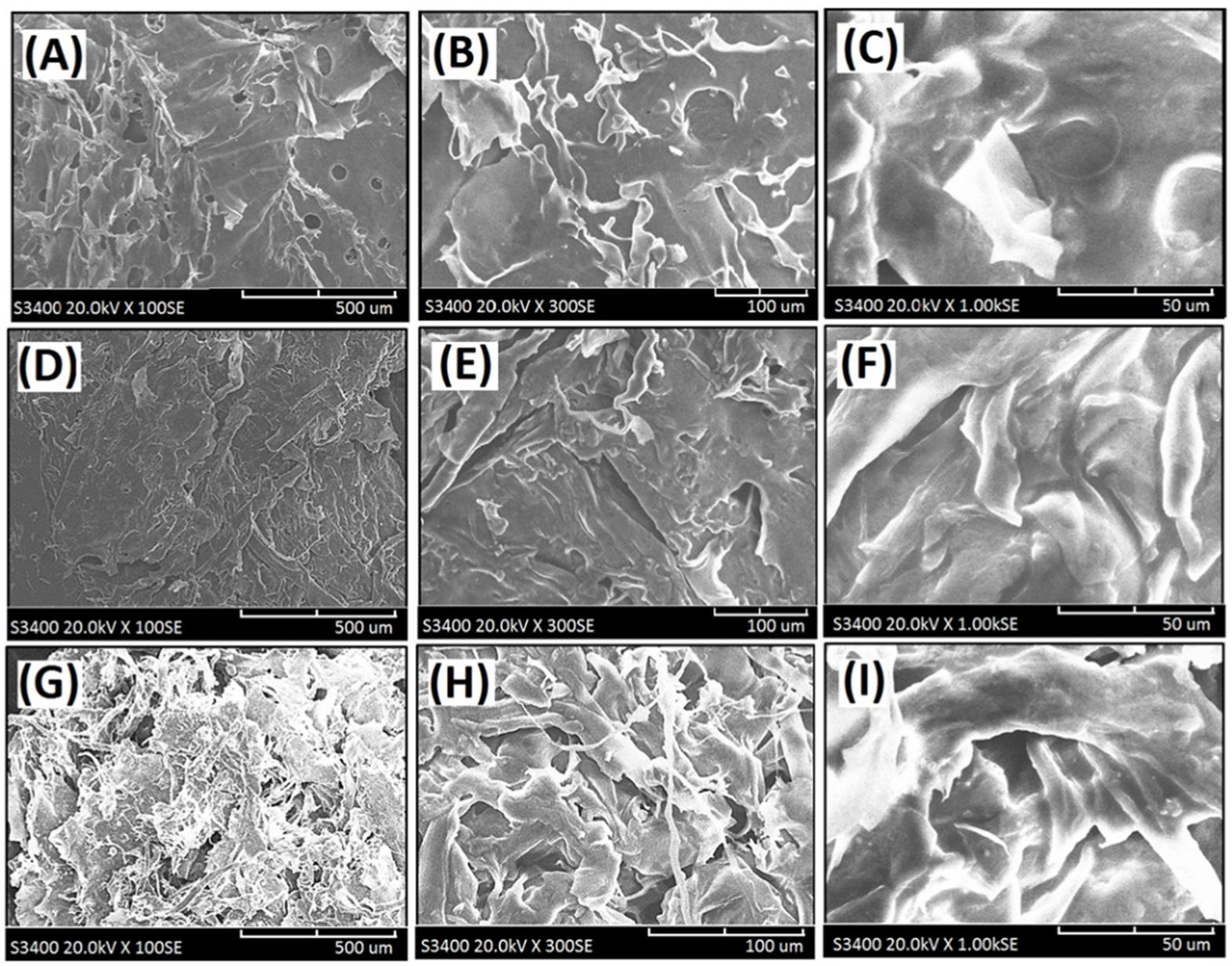 Materials 15 00258 g005