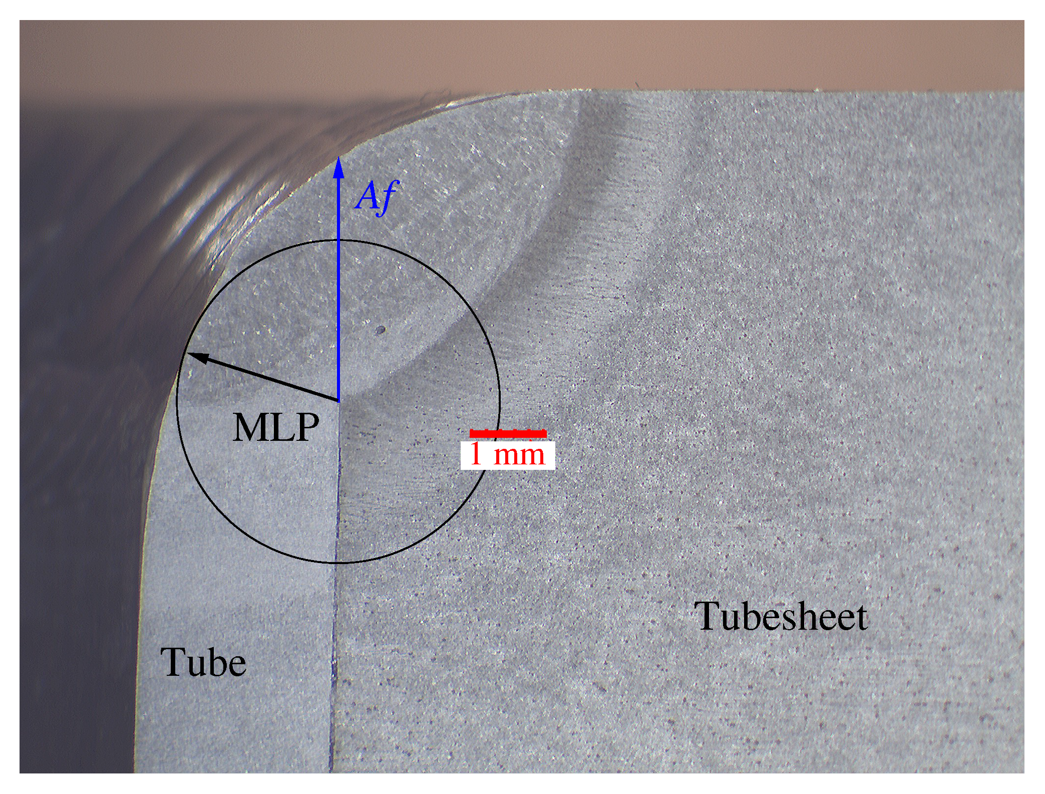 Materials 15 00261 g013 550