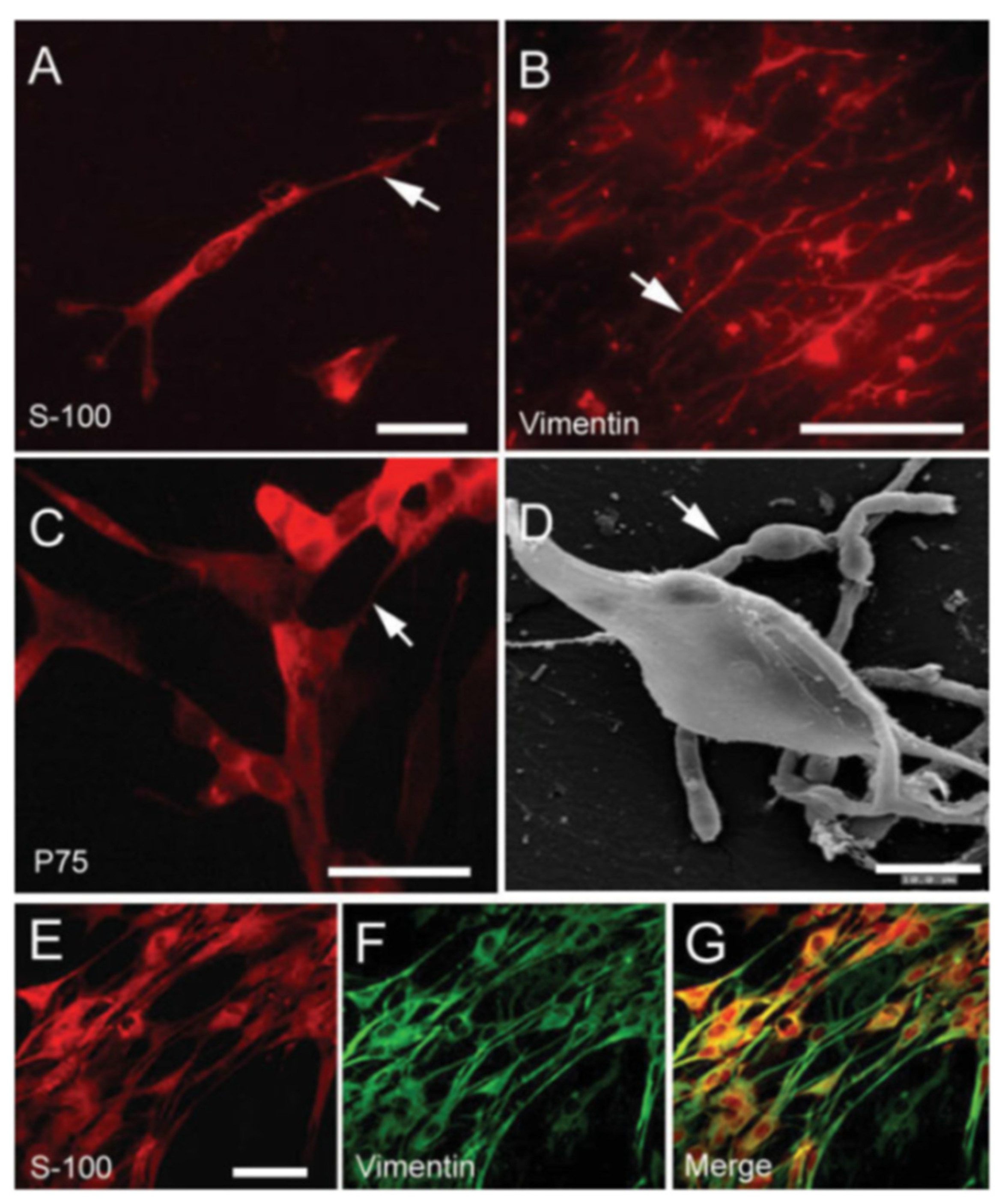 Materials 15 00282 g010