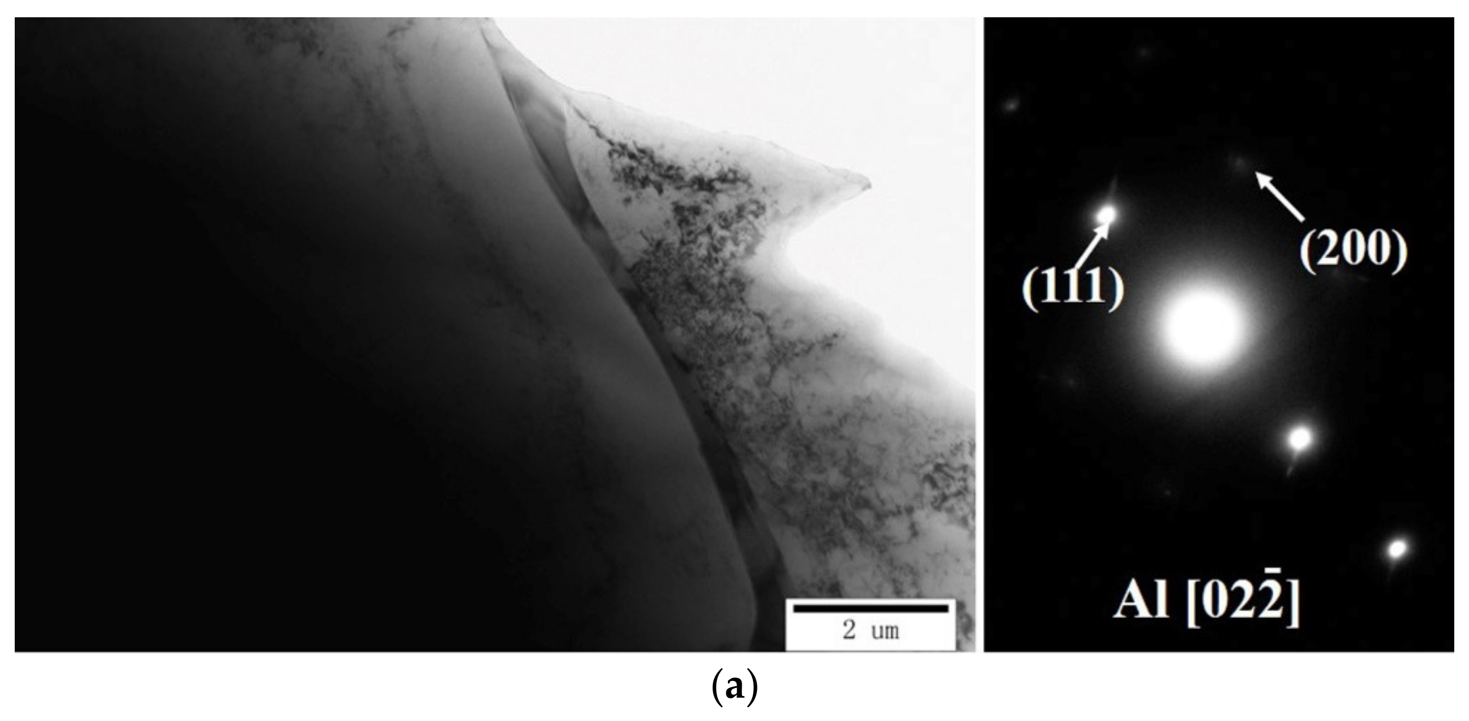 Materials 15 00295 g007a