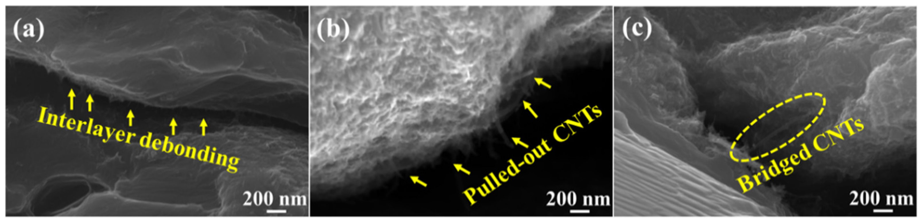 Materials 15 00300 g007