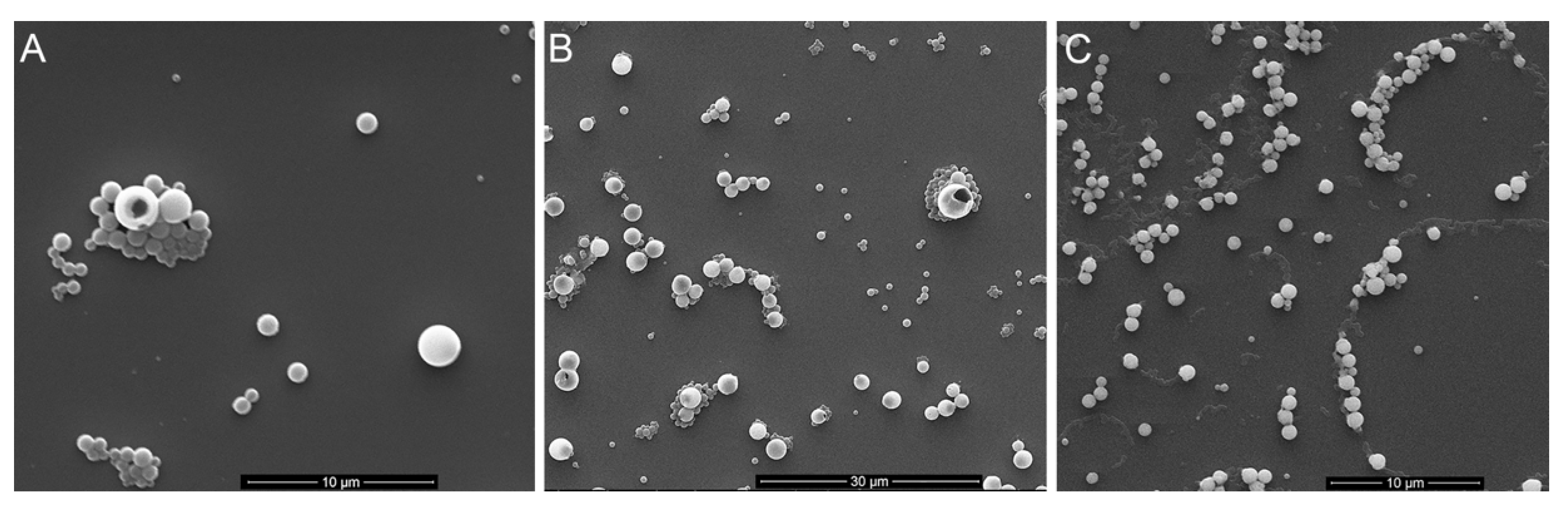 Materials 15 00303 g003 550