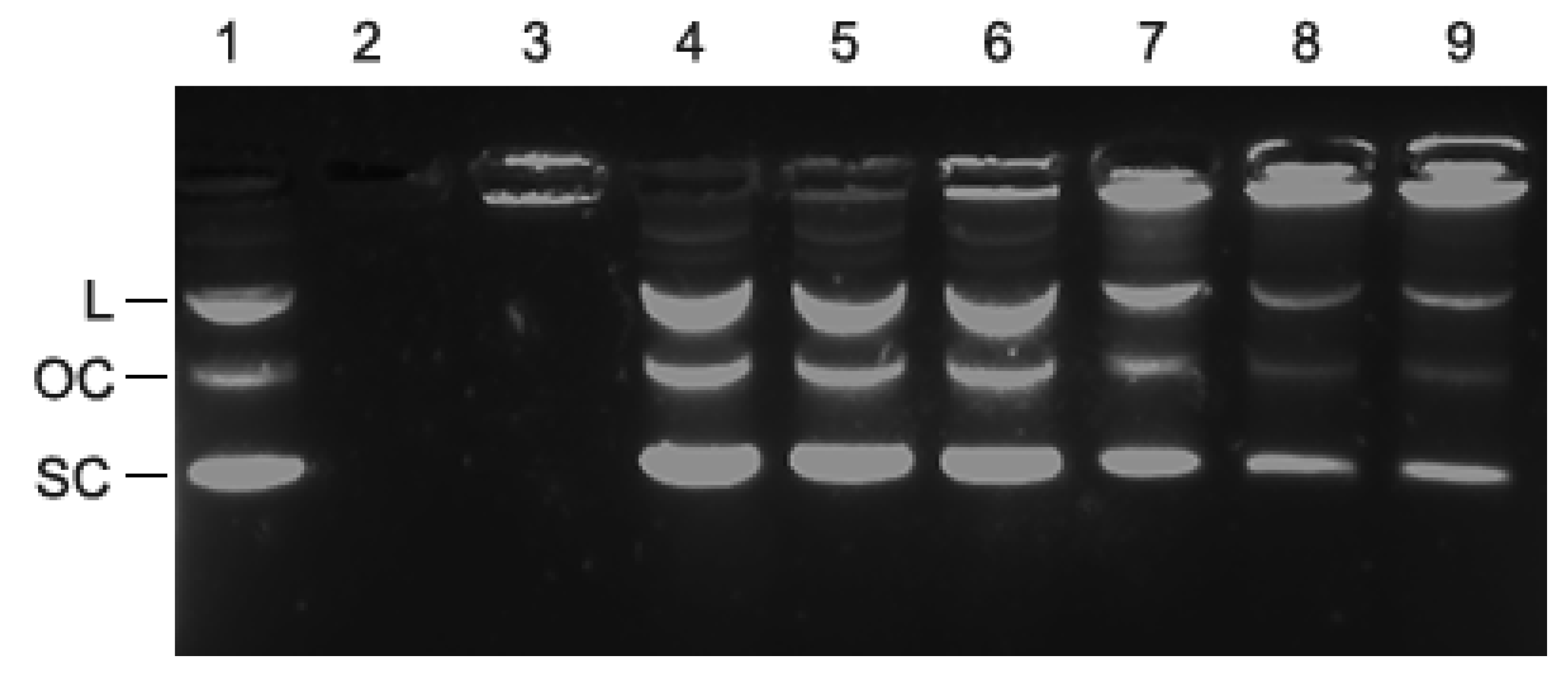 Materials 15 00303 g004 550