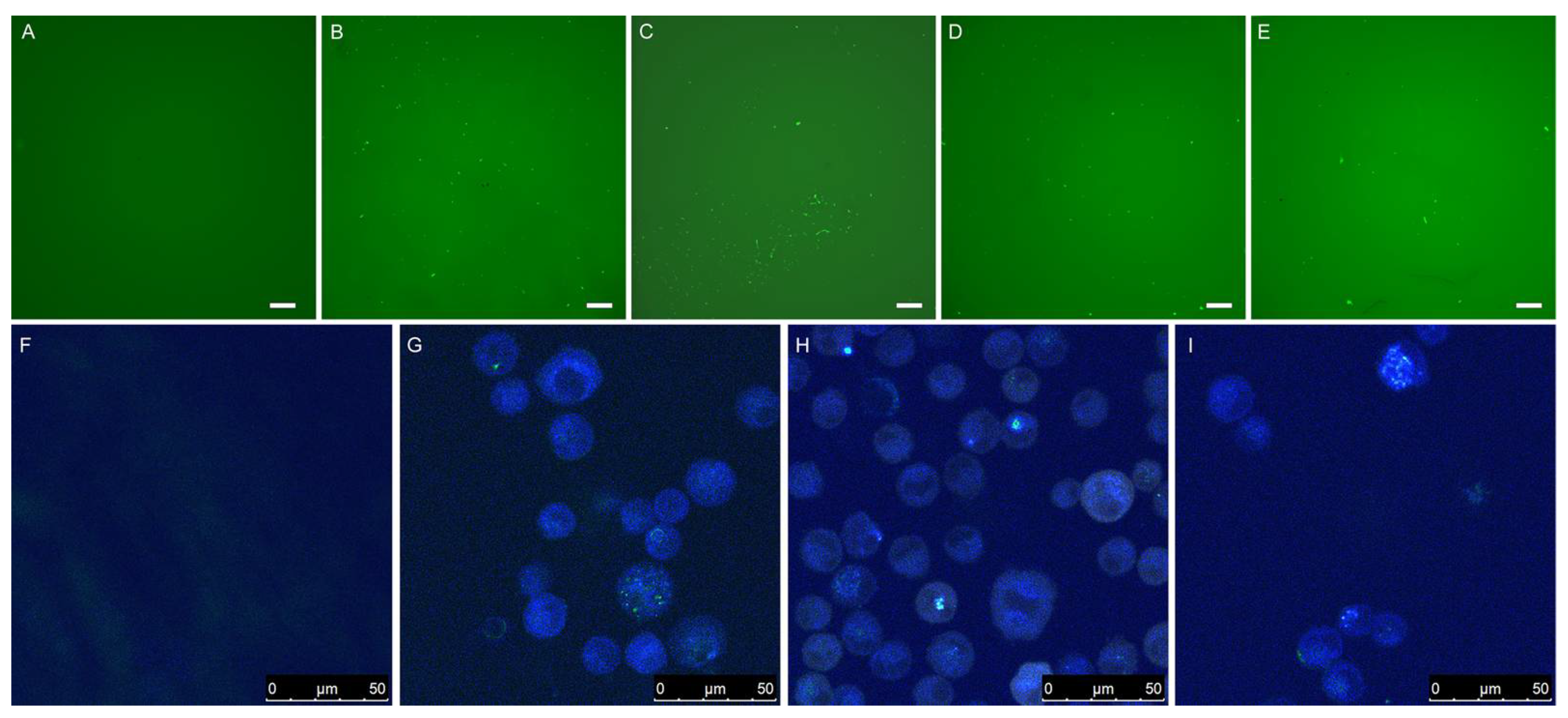 Materials 15 00303 g007 550