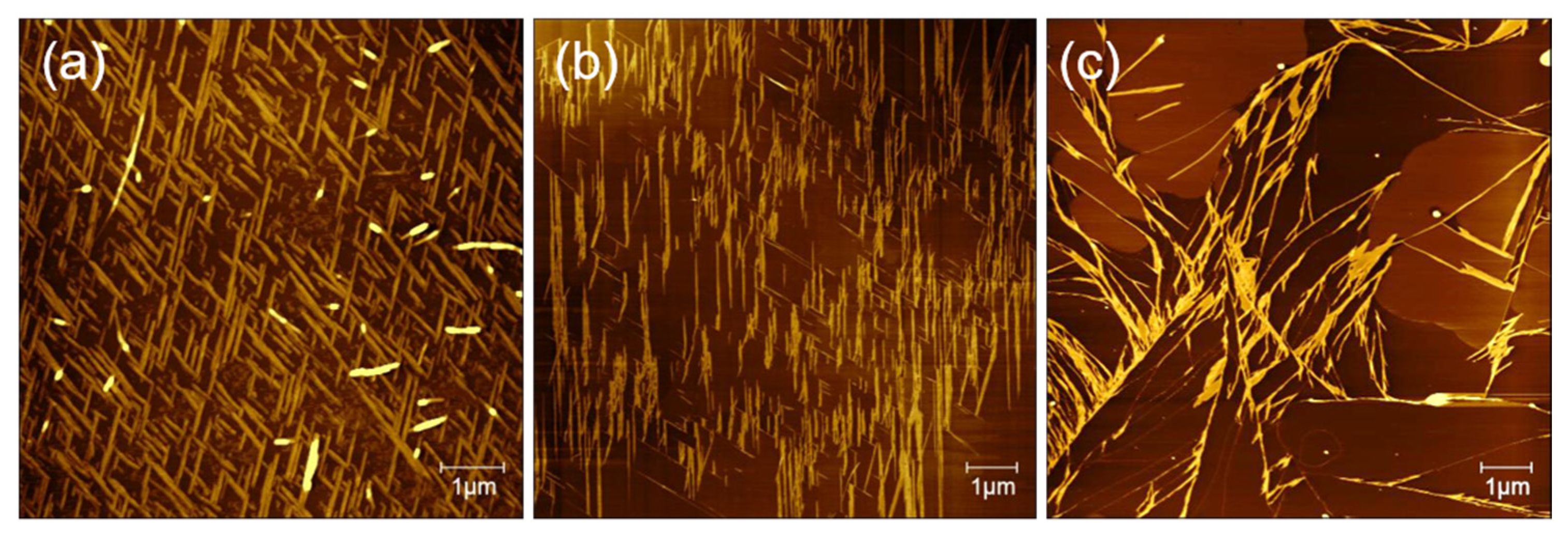 Materials 15 00310 g005 550