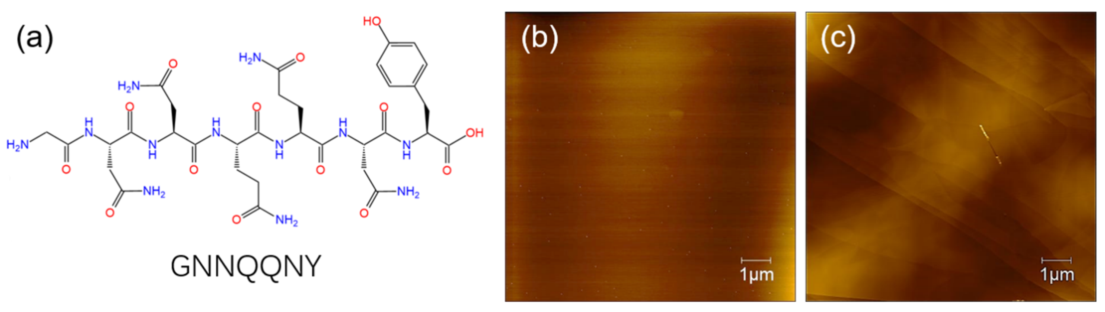 Materials 15 00310 sch001 550