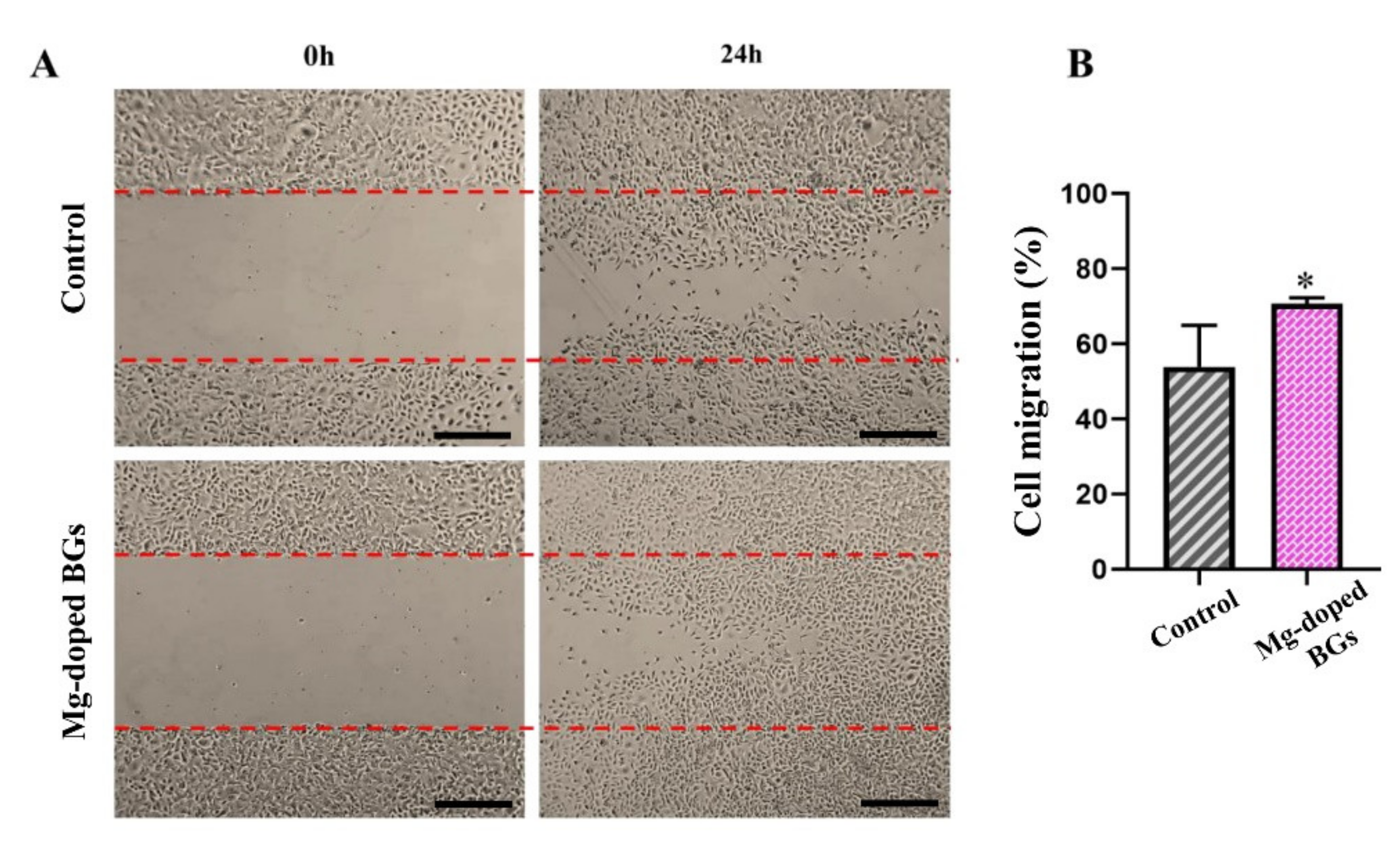 Materials 15 00318 g008