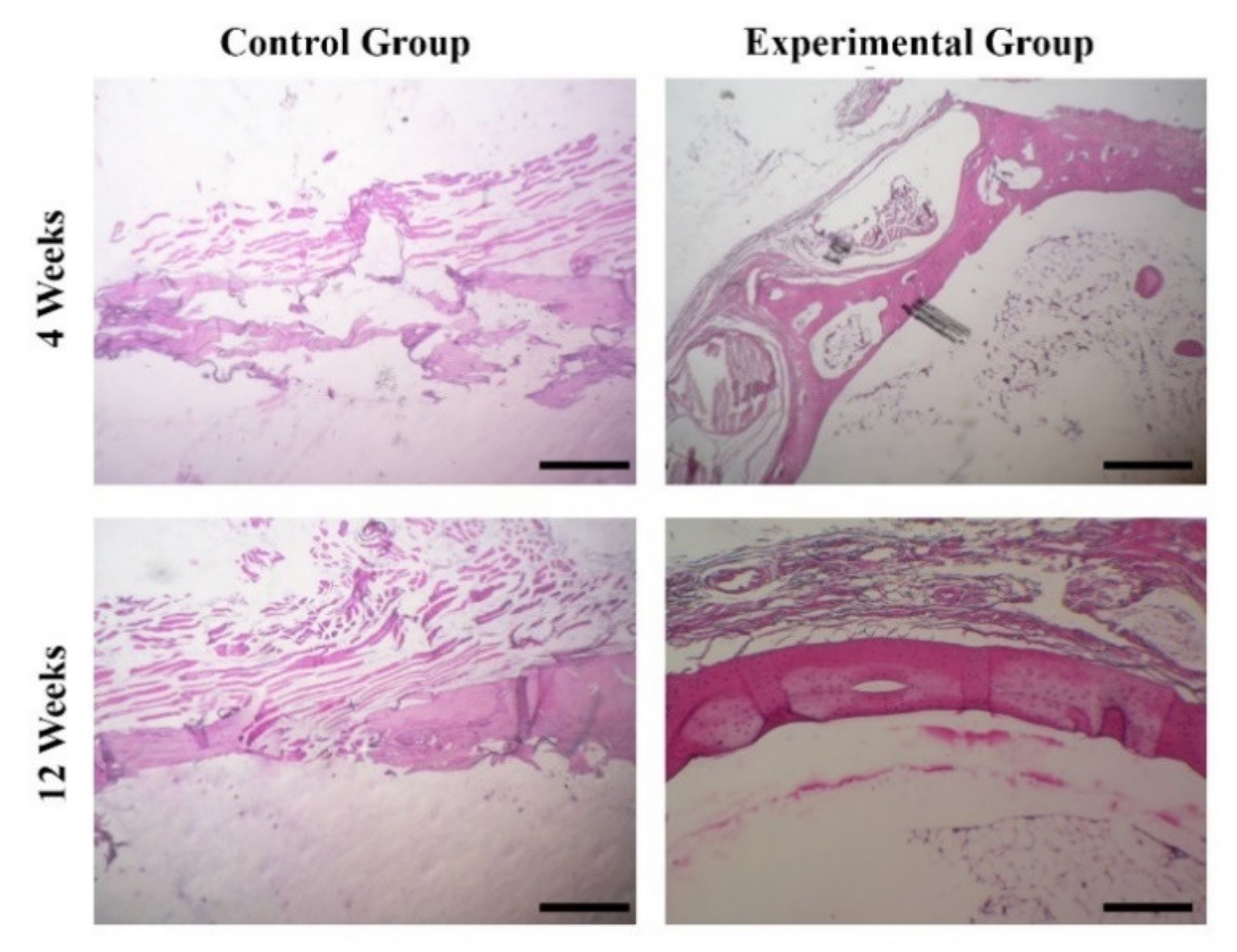 Materials 15 00318 g009