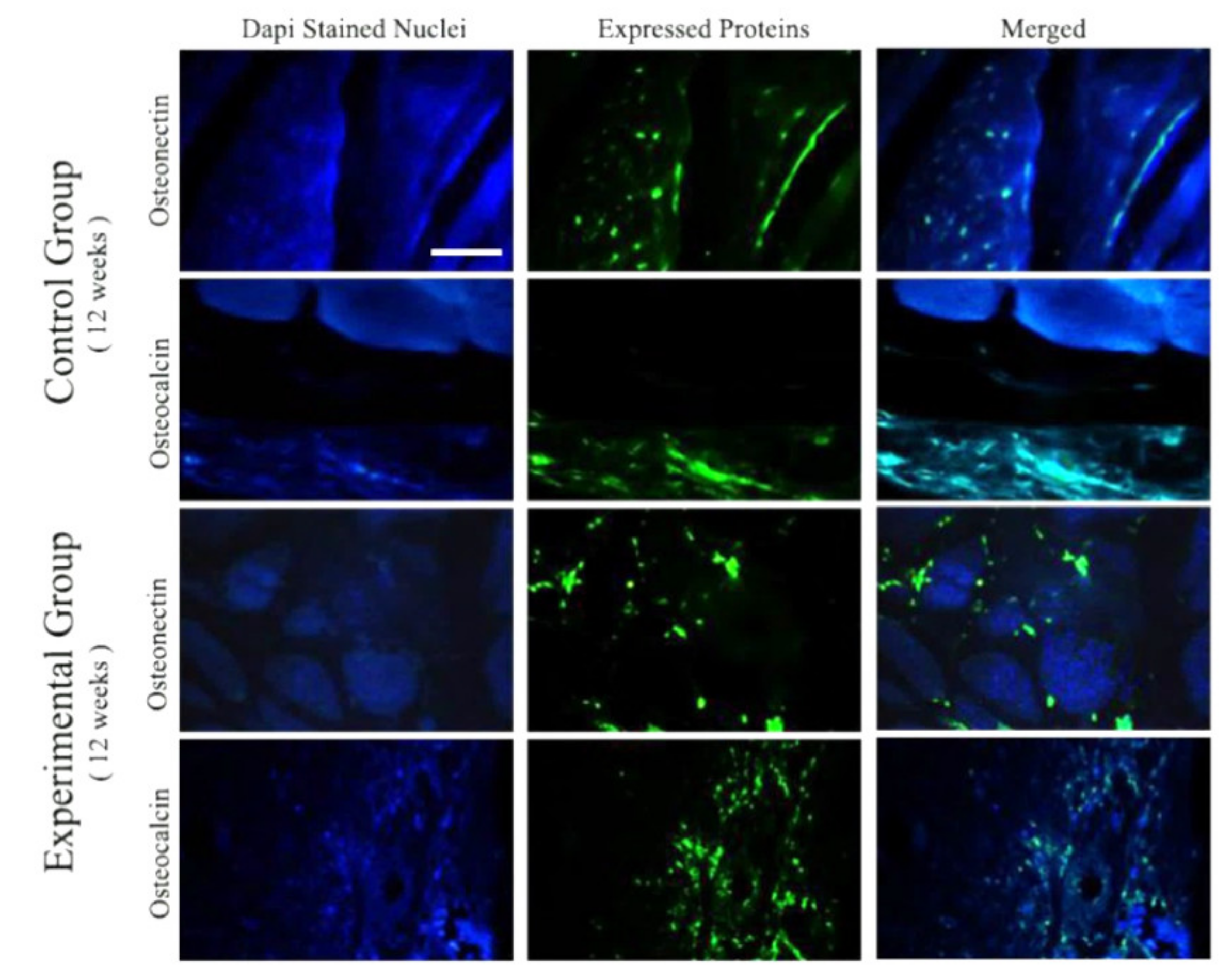 Materials 15 00318 g010
