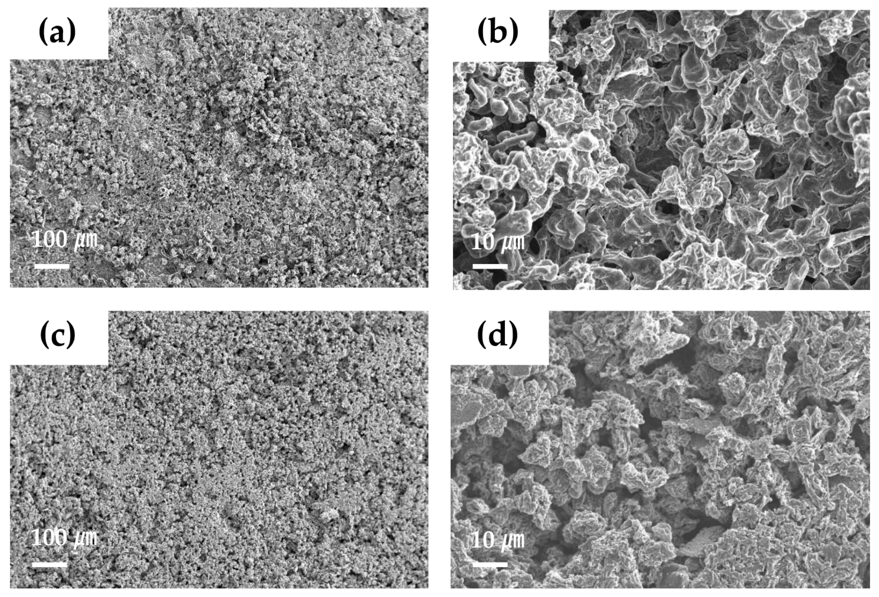 Materials 15 00322 g006