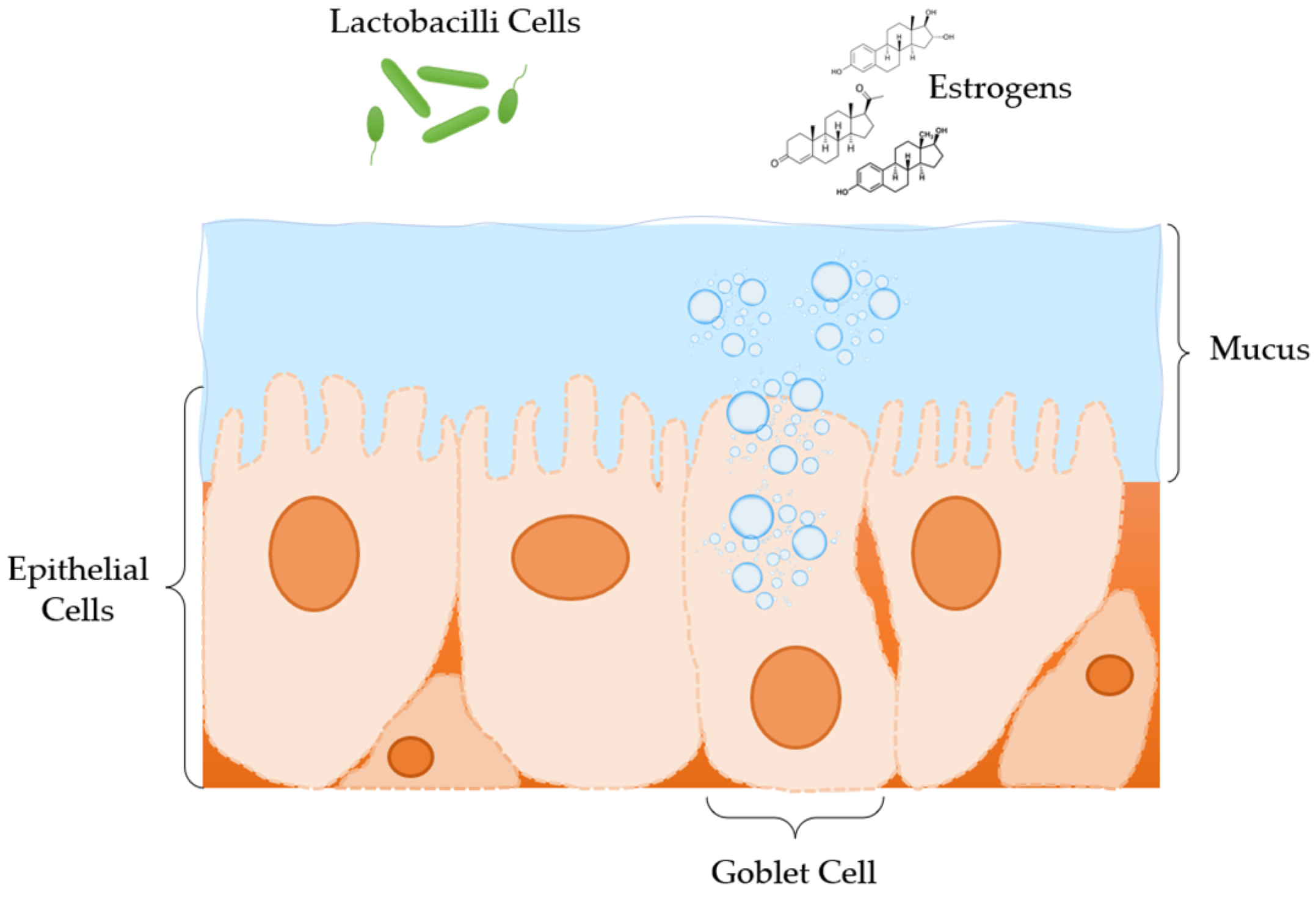 Materials 15 00327 g001 Materials 15 00327 g001